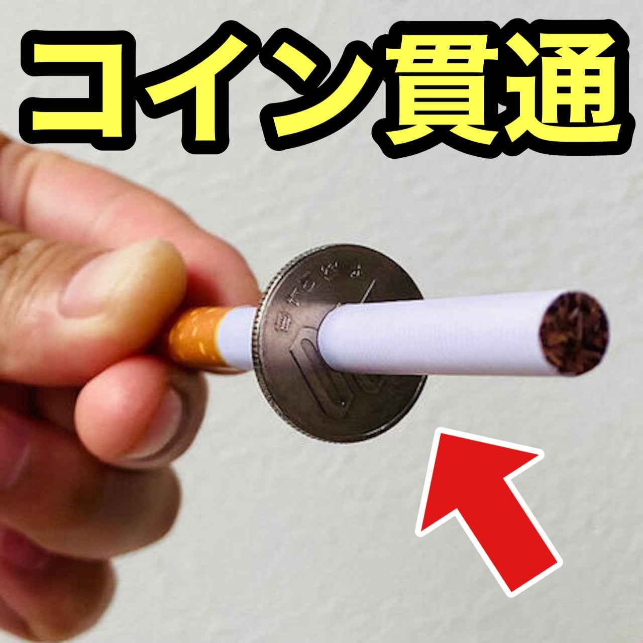 6bca3f26ed9b3344e4cbd246d8f719