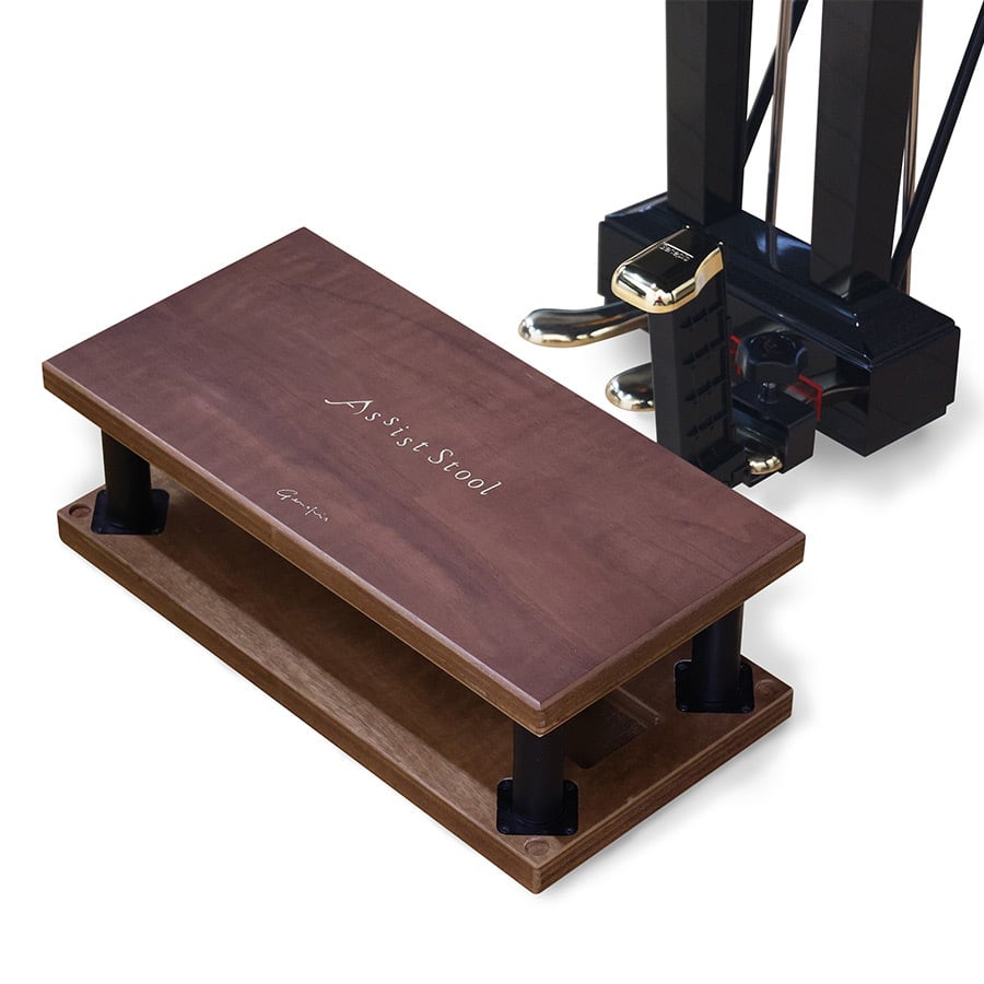 セット商品+追加コマ】 ジェネピス アシストセット（ペダル＋スツール