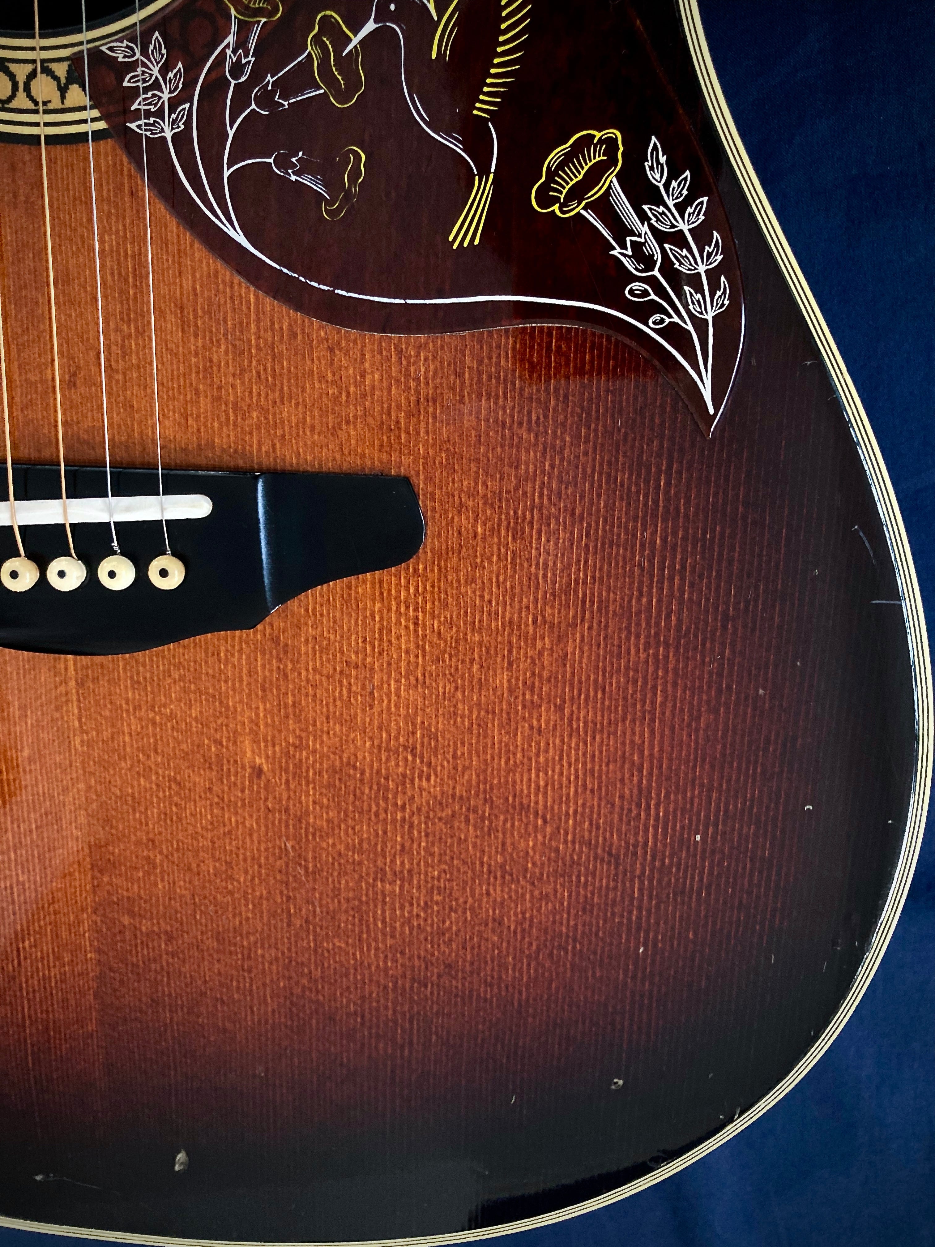 モーリス ( Morris ) TORNADO GXD 1984 Gseries スプルース単板TOP