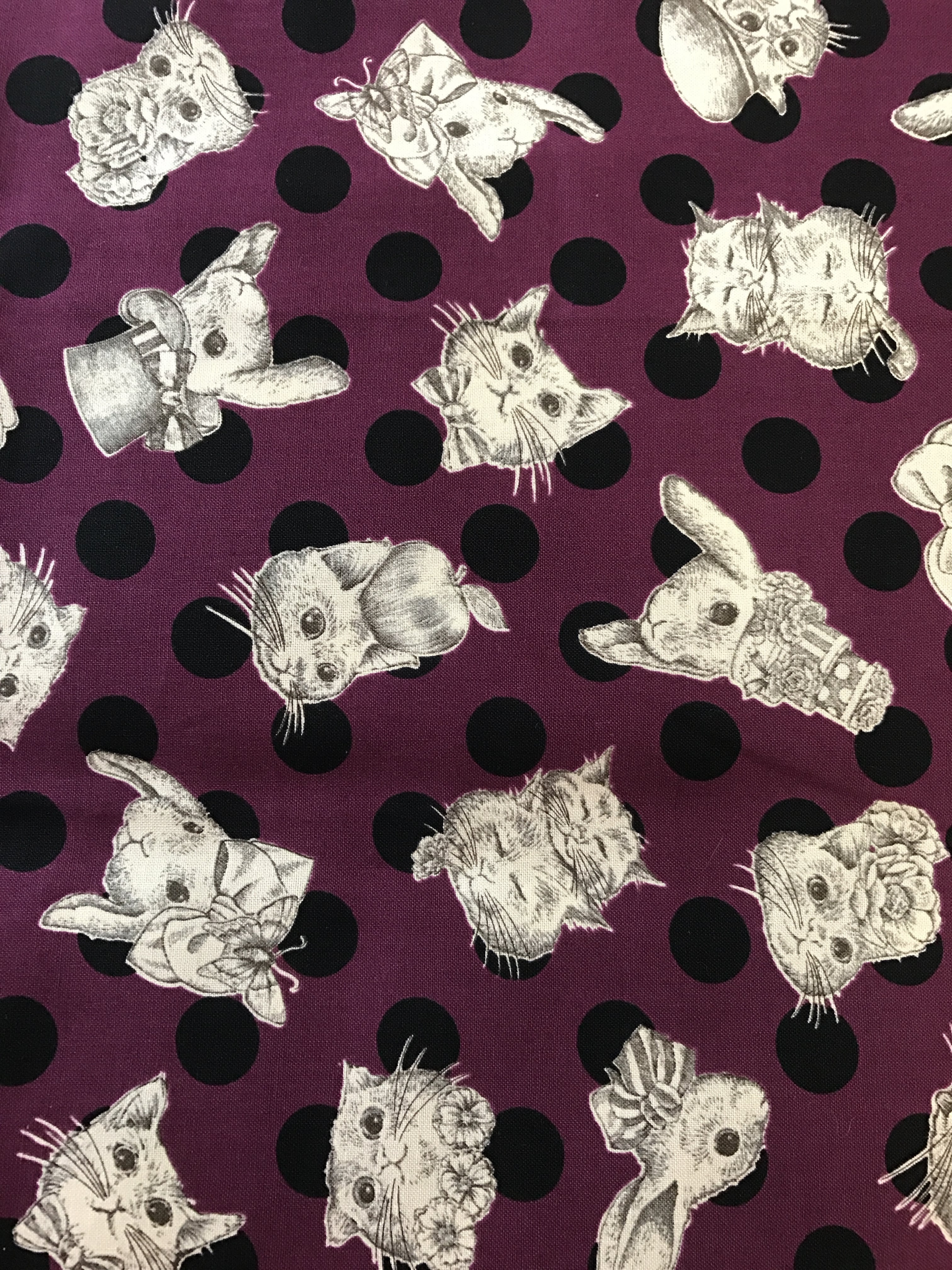 6e9380b781fcb1335bf5af7f2d365e