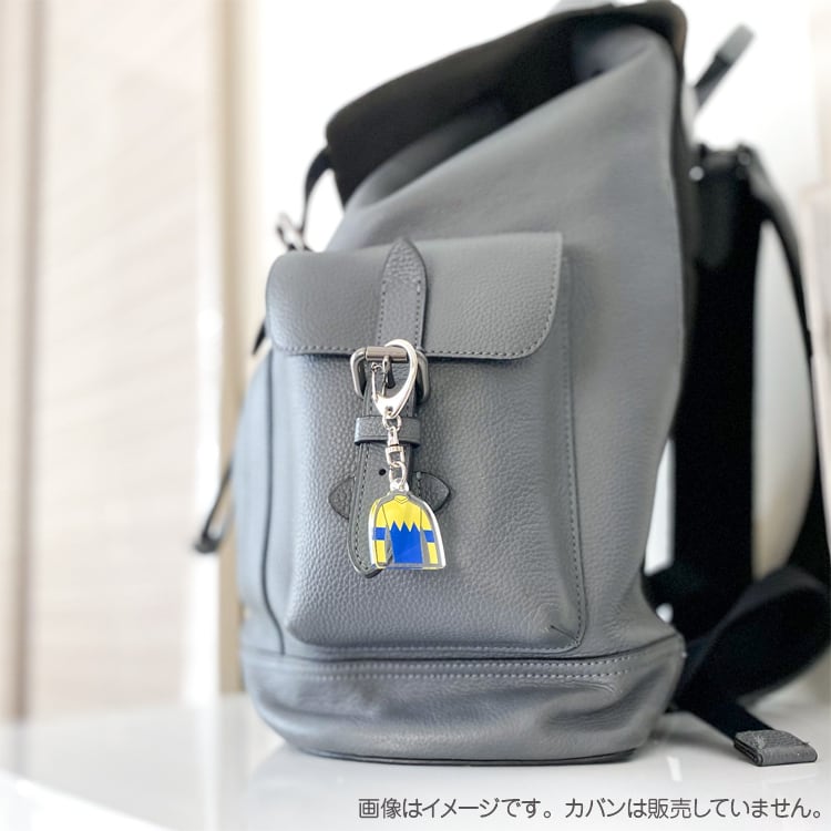 勝負服 キーホルダー JRA馬主服・地方騎手勝負服 6個セット