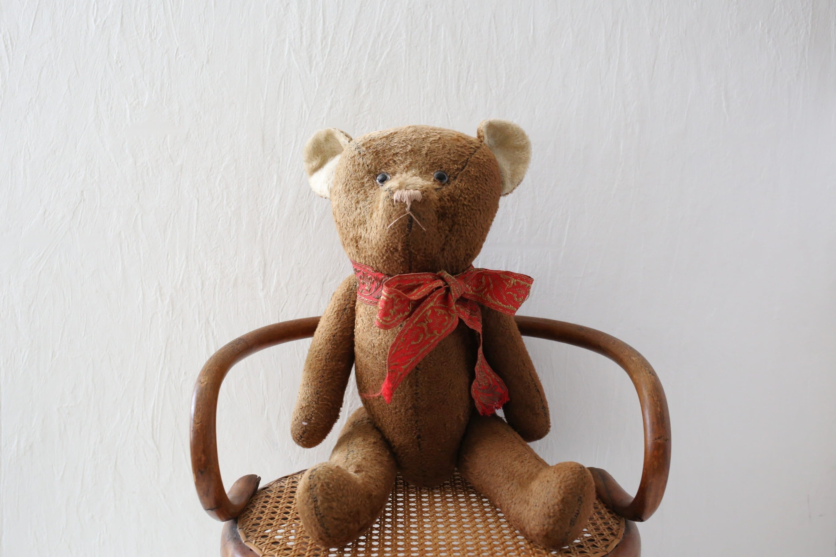 テディベア | EMUPARIS