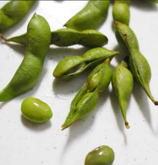 冷凍】完熟の有機丹波黒枝豆3袋セット※他商品と一緒にカートに入れず