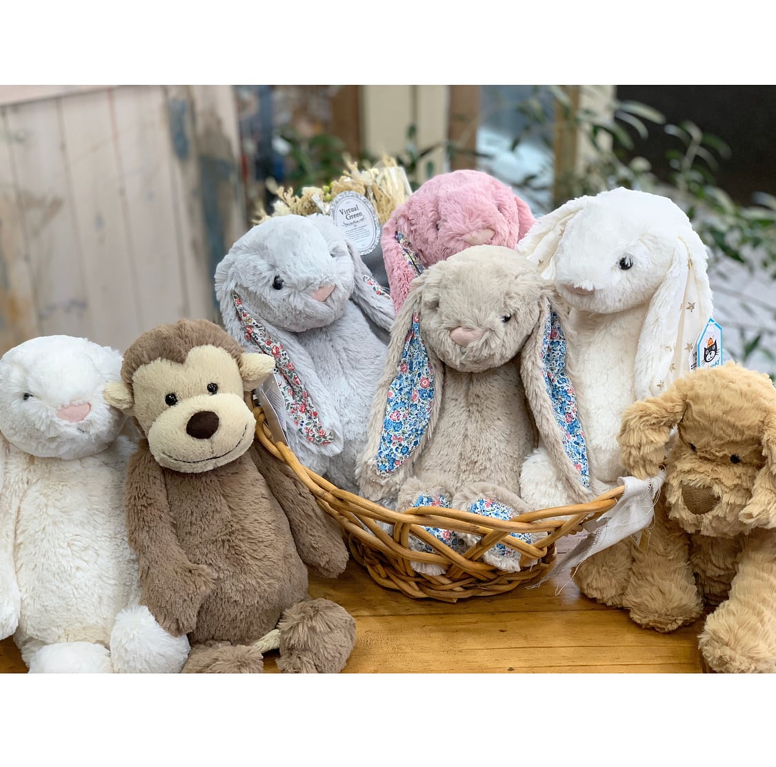 Jelly cat / ジェリーキャット Bashful Cream Bunny Medium ぬいぐるみ