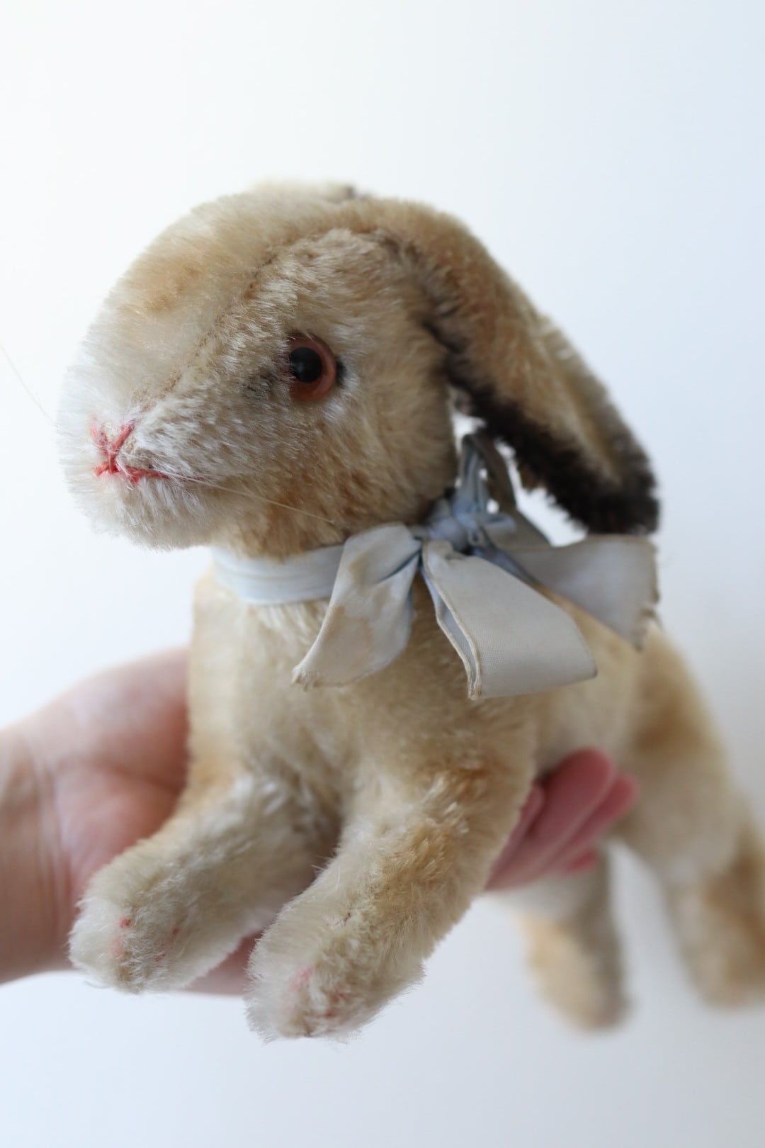 シュタイフ ぬいぐるみ うさぎ Hoppy14㎝ ヴィンテージ | ぷちアンティーク