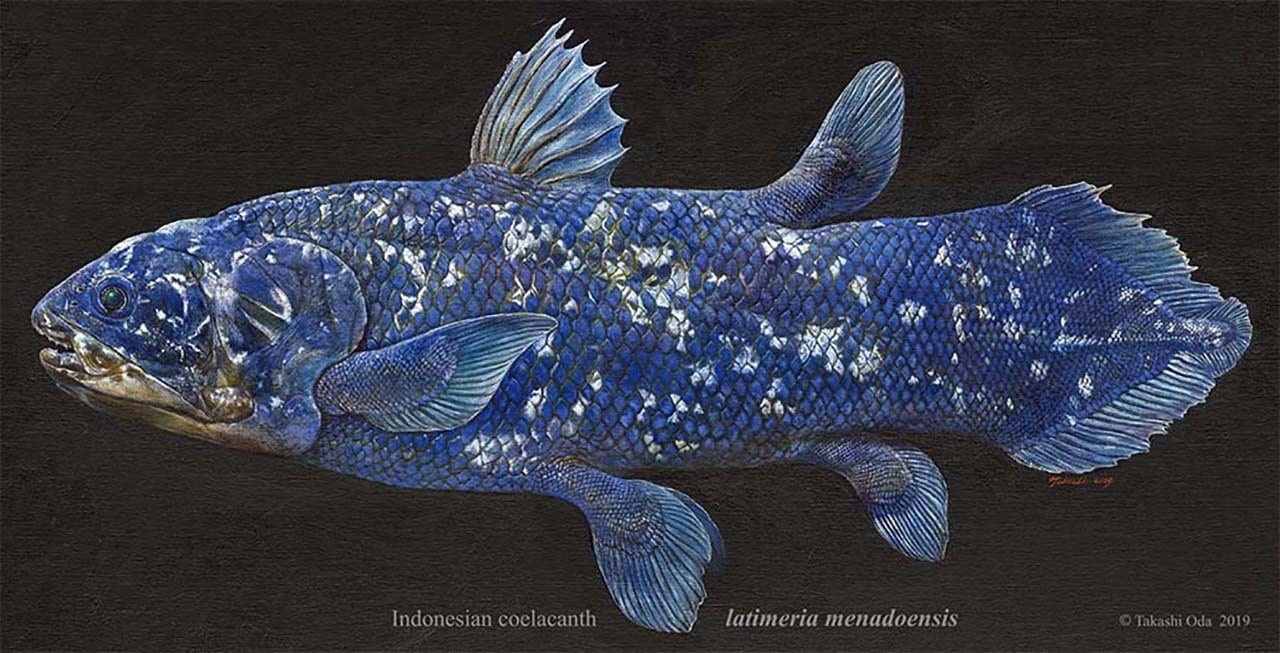 70aee943727b4da10289960d01cdb2