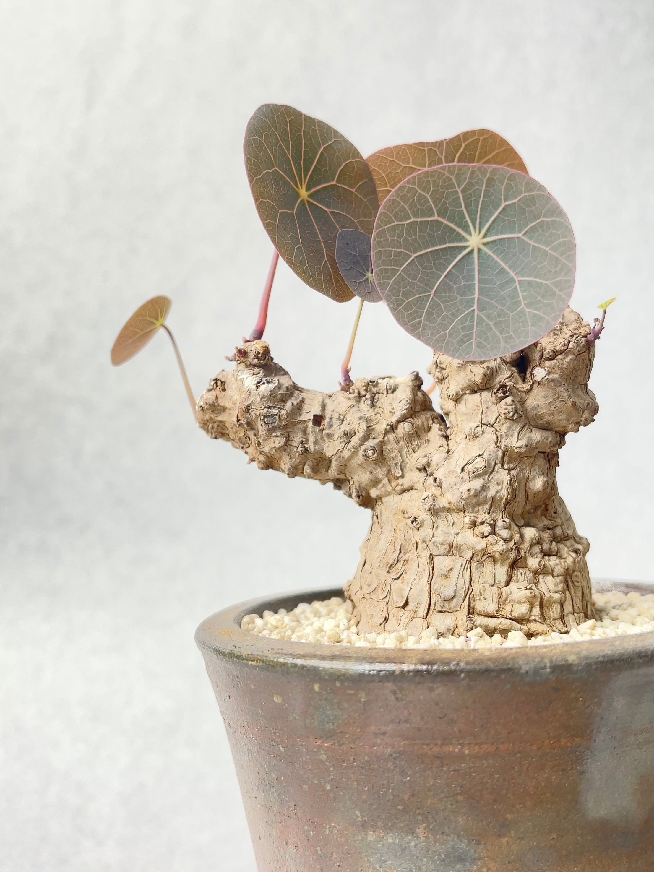 70b3abb21ade987c5870b6374a1227