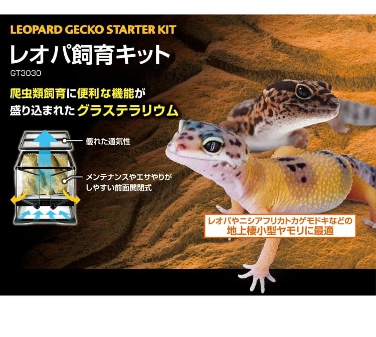 レオパ飼育キット GT3030 【爬虫類初心者にもオススメ】 | Reptile