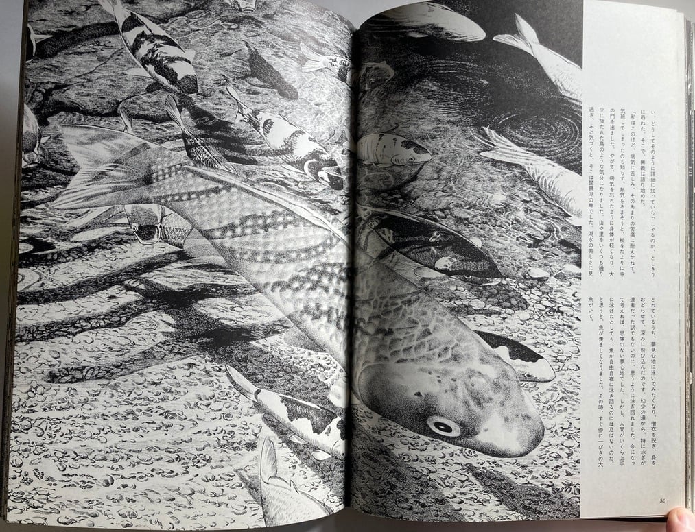 水木しげるの雨月物語 昭和47年 初版 函 番町書房 | トムズボックス