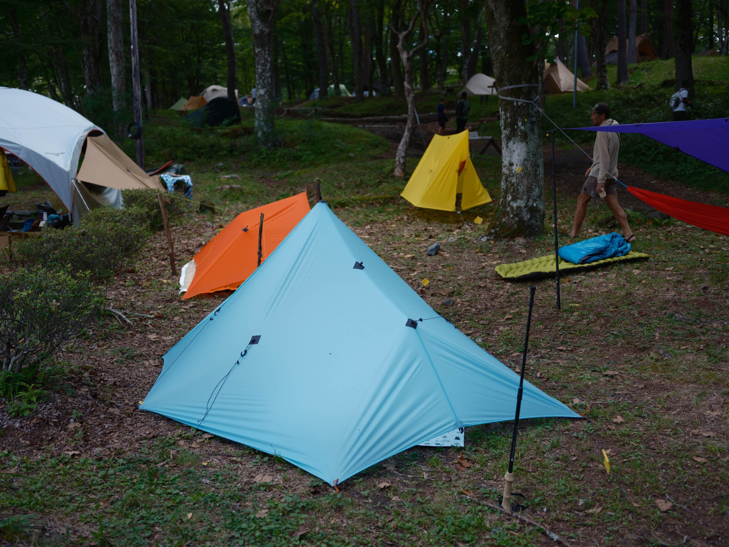 PB Tarp 8×10 Versatile Roof