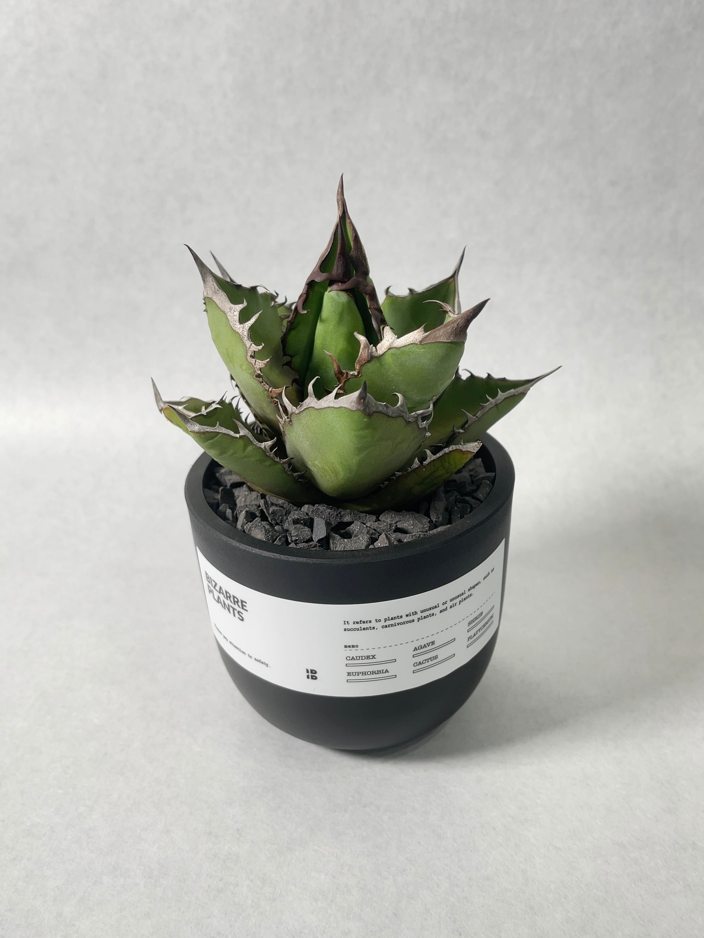 77a141b3a80d927e748f4f37d05498