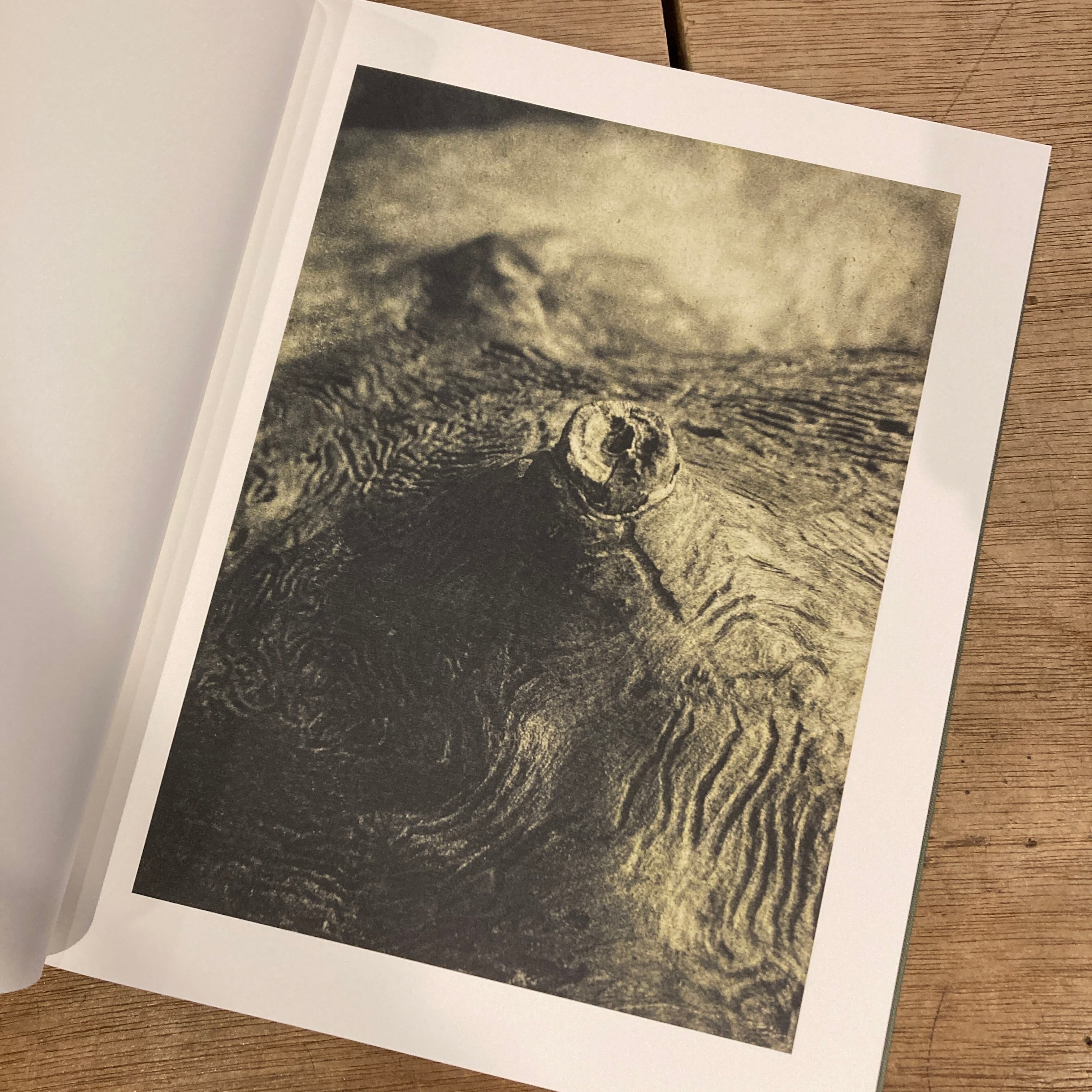 Night Procession [signed] Stephen Gill / スティーブン・ギル | 百年