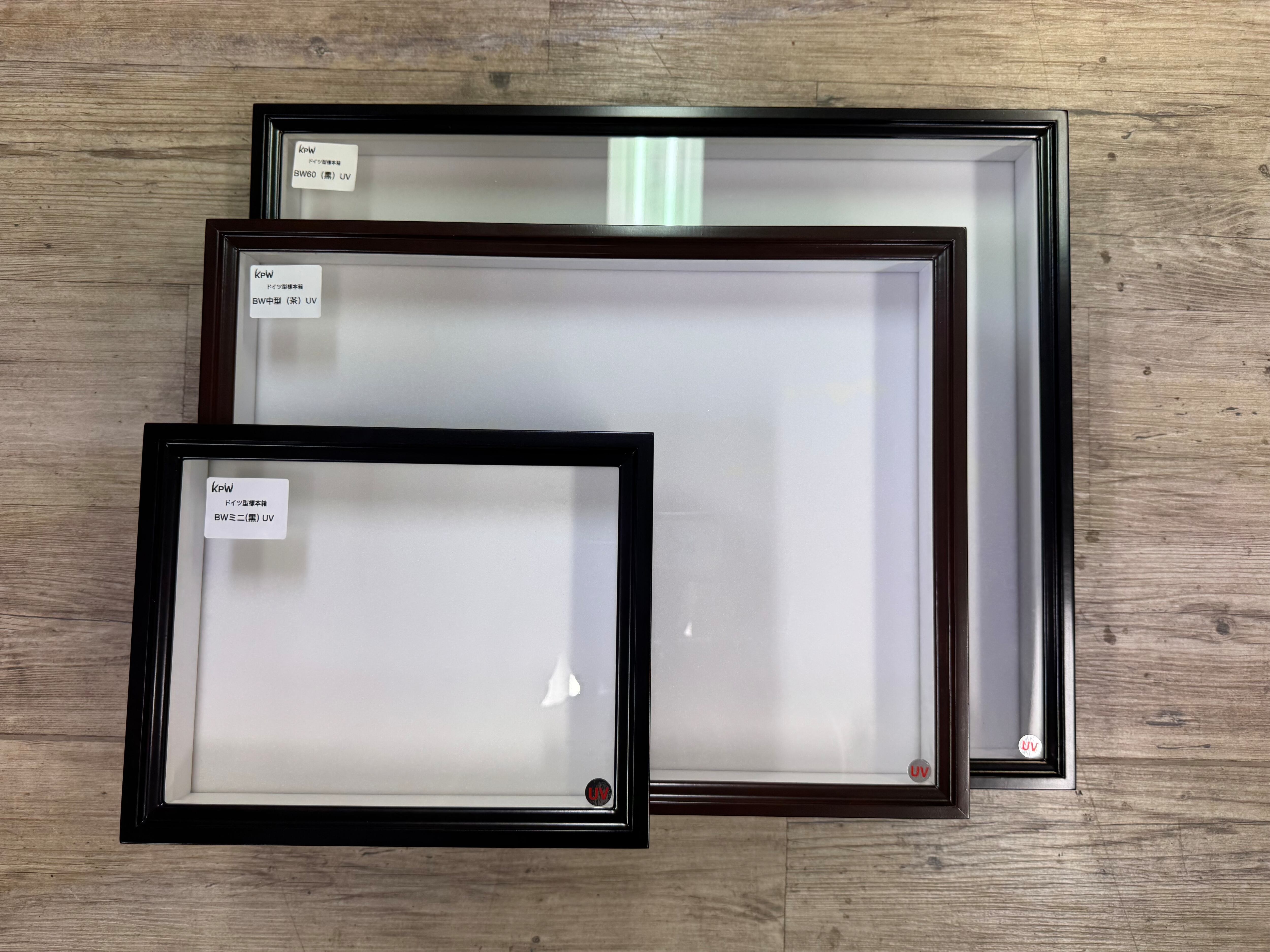 茶】バードウィング製 ドイツ型標本箱 大型BW60 UVカット仕様 | KPW