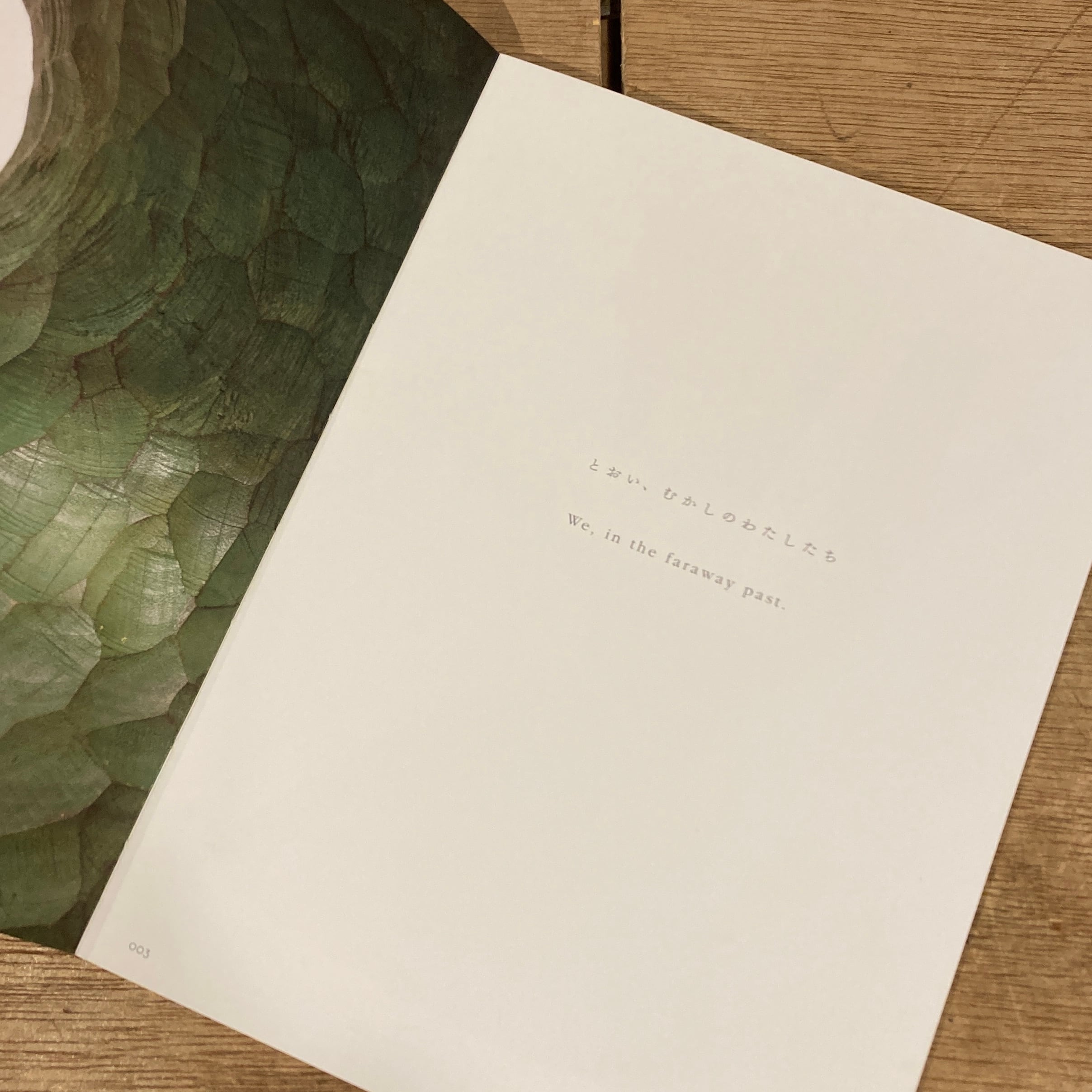 Growth: Moe Nakamura / 中村萌作品集2012-2020: 中村萌 | 百年