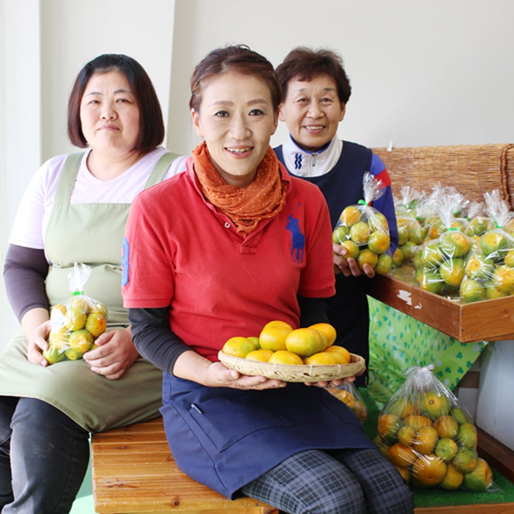 すくも特産品マルシェ7周年記念価格】成田果樹園の温州みかん5kg