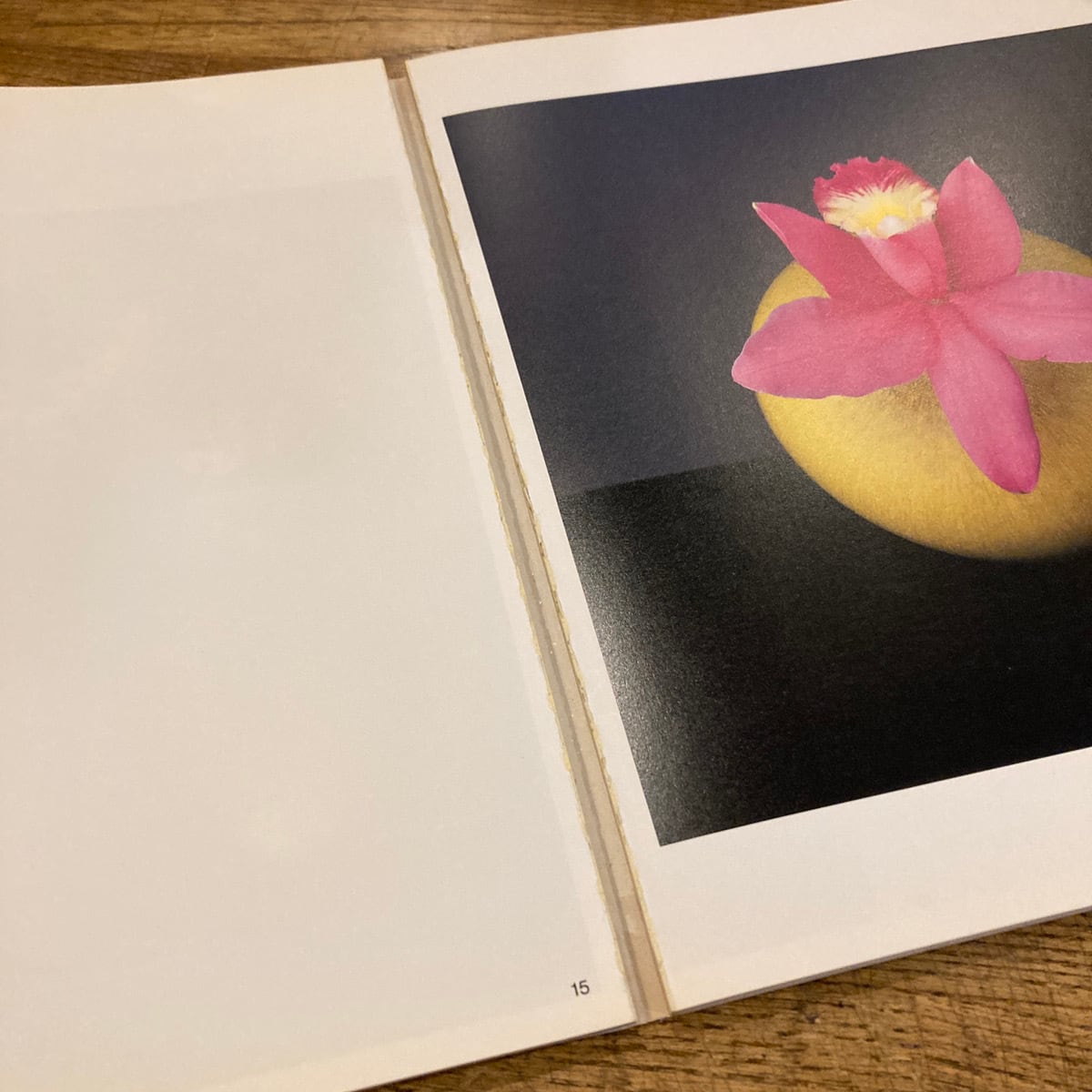 Flowers ロバート・メイプルソープの花 ソフトカバー版 / ロバート