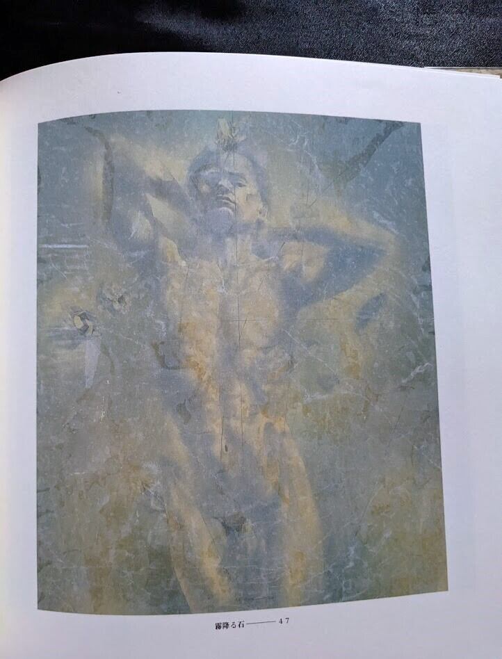 標本箱の少年／建石修志画集 | 月光百貨店