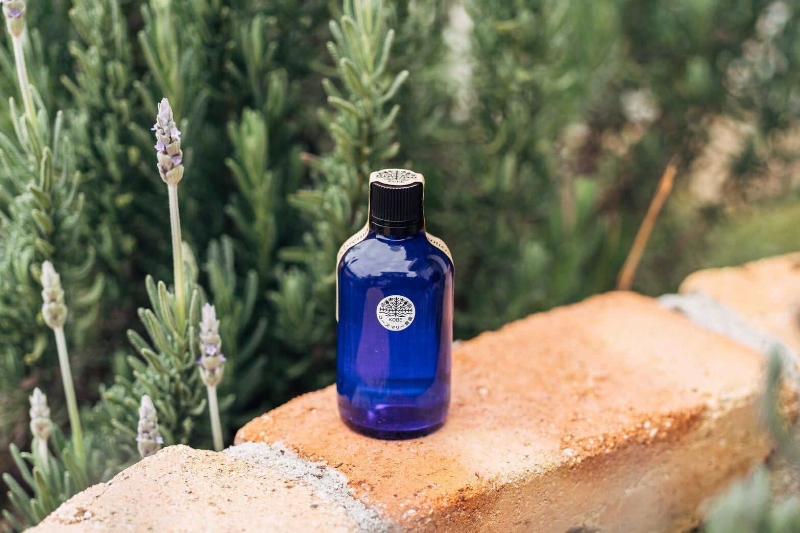 ハーブ水（100ml） | ハーブ・酵素専門店 | ハーブ石けん・酵素食品の