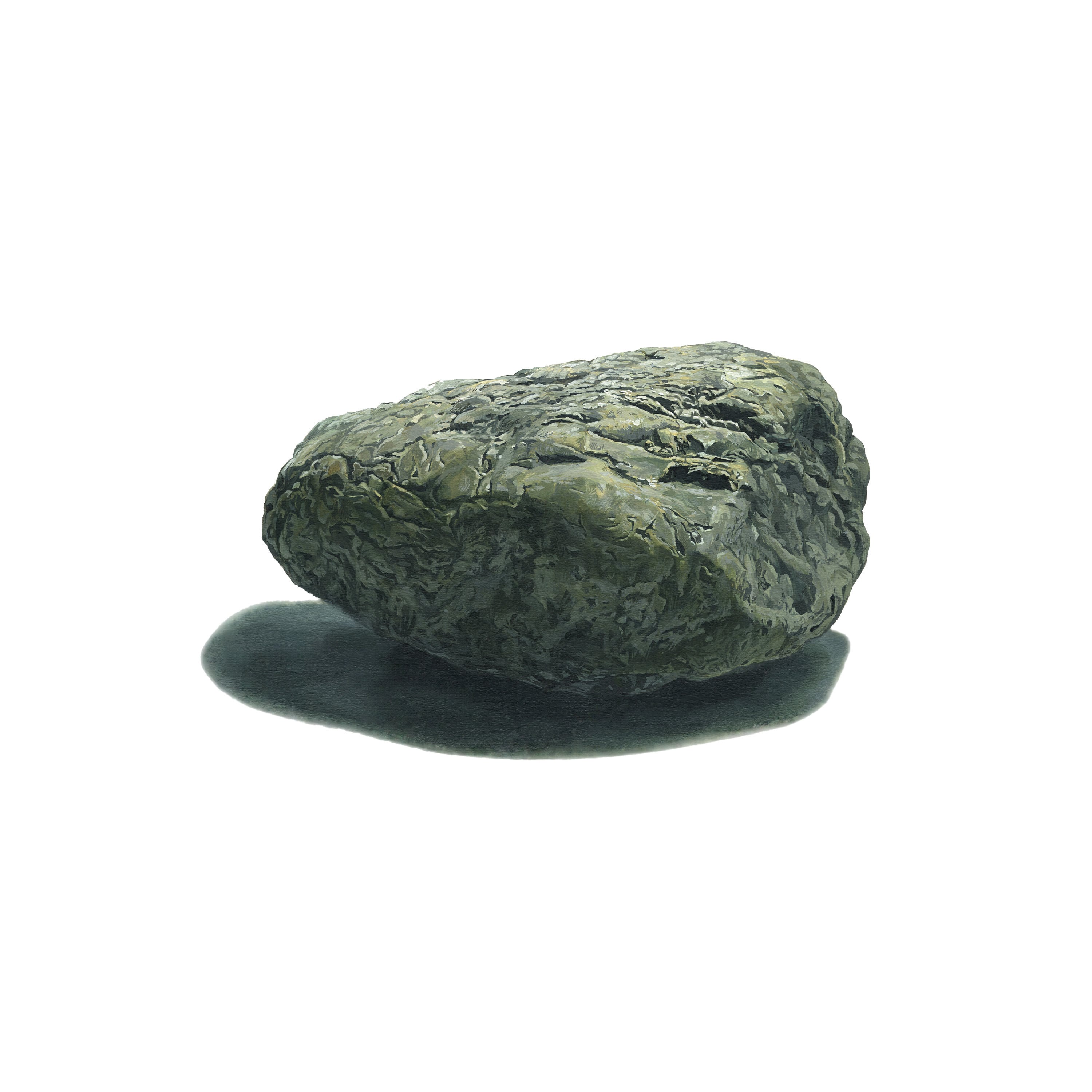 家主 / 石のような自由（LP） | to'morrow records