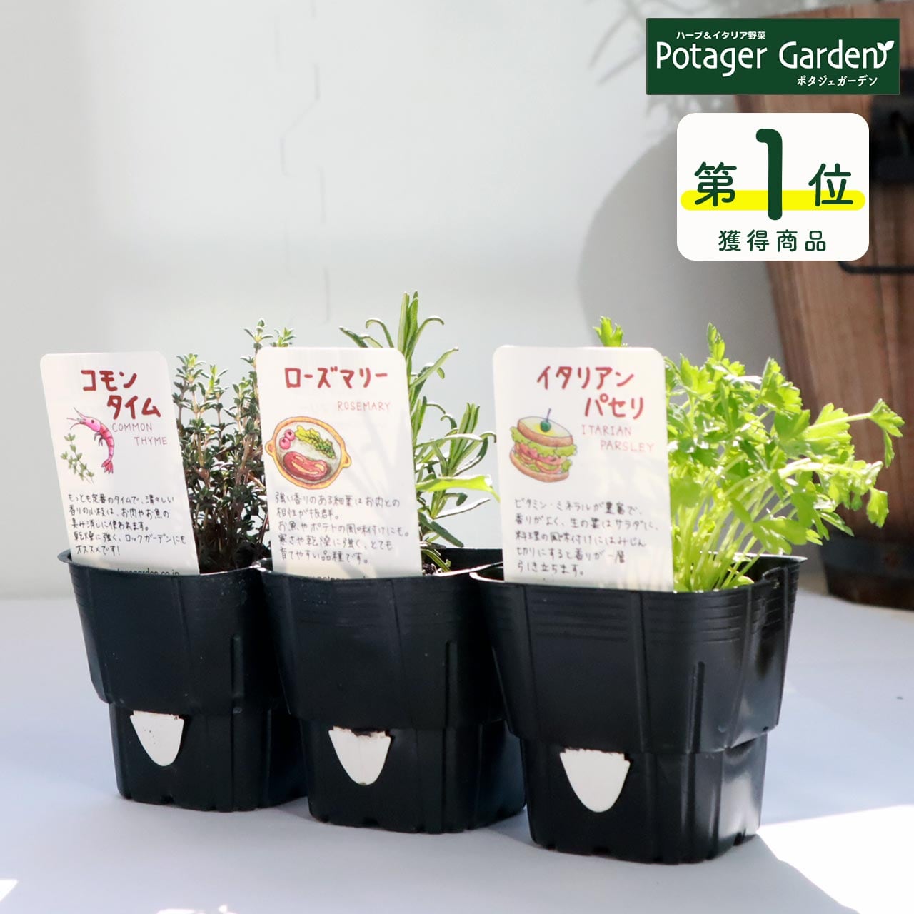 ハーブ 苗 セット 5個 | ハーブ苗のポタジェガーデン 本店