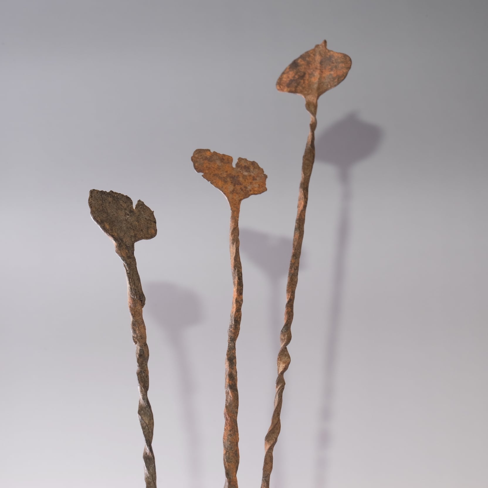 7792b55fdde8752721cde9511907fd