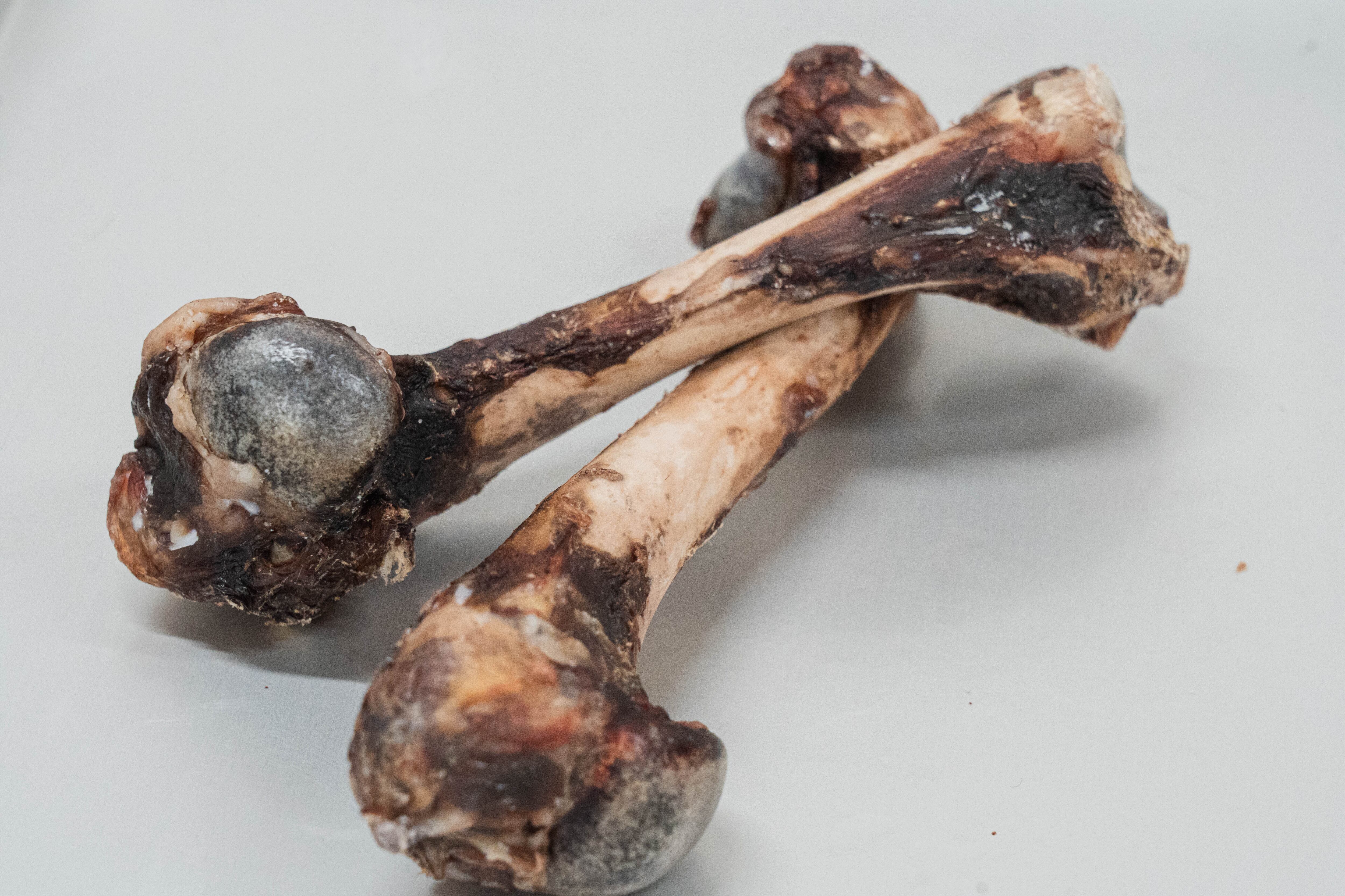 エゾ鹿 骨 | K&D株式会社