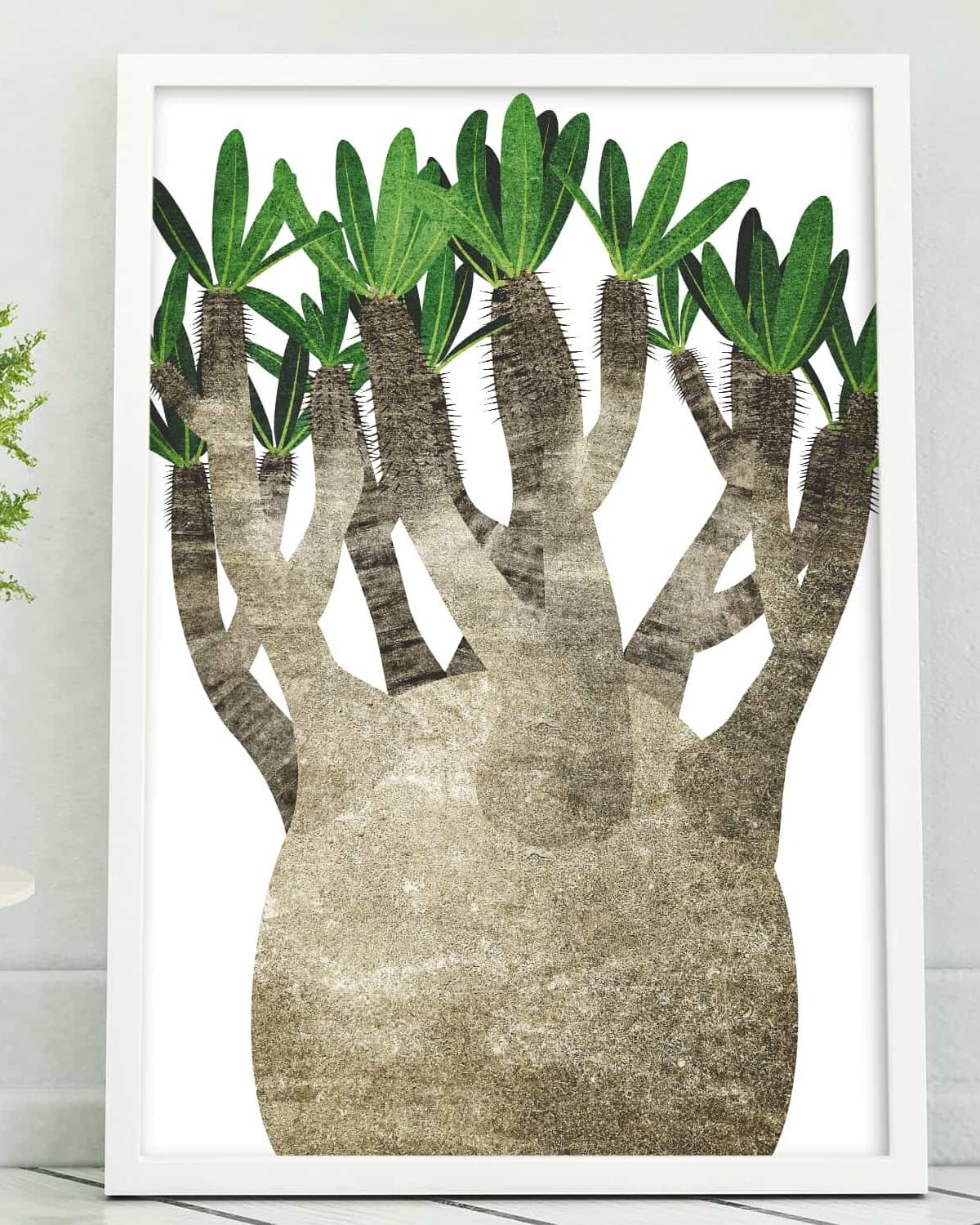 アートポスター / Pachypodium No.1 eb187 | EITRIBRO(エイトリブロ