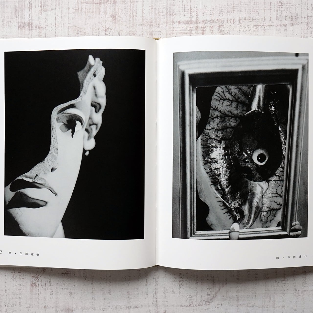 丹平写真倶楽部・光 (日本写真史の至宝) 監修=飯沢耕太郎、金子隆一