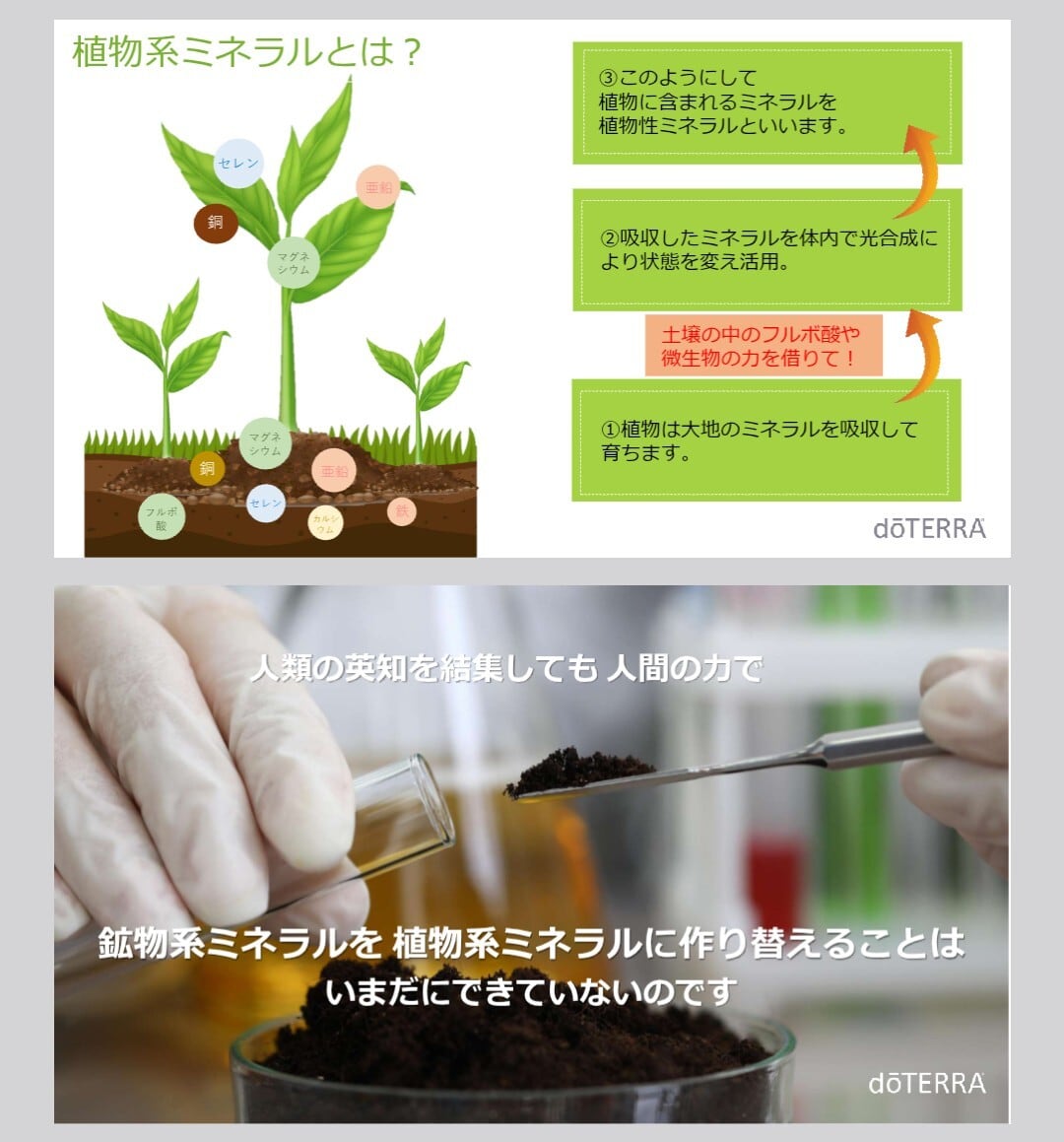 doTERRA PHOSSIL ミネラル オリジナル 2本 ドテラ | Blossom