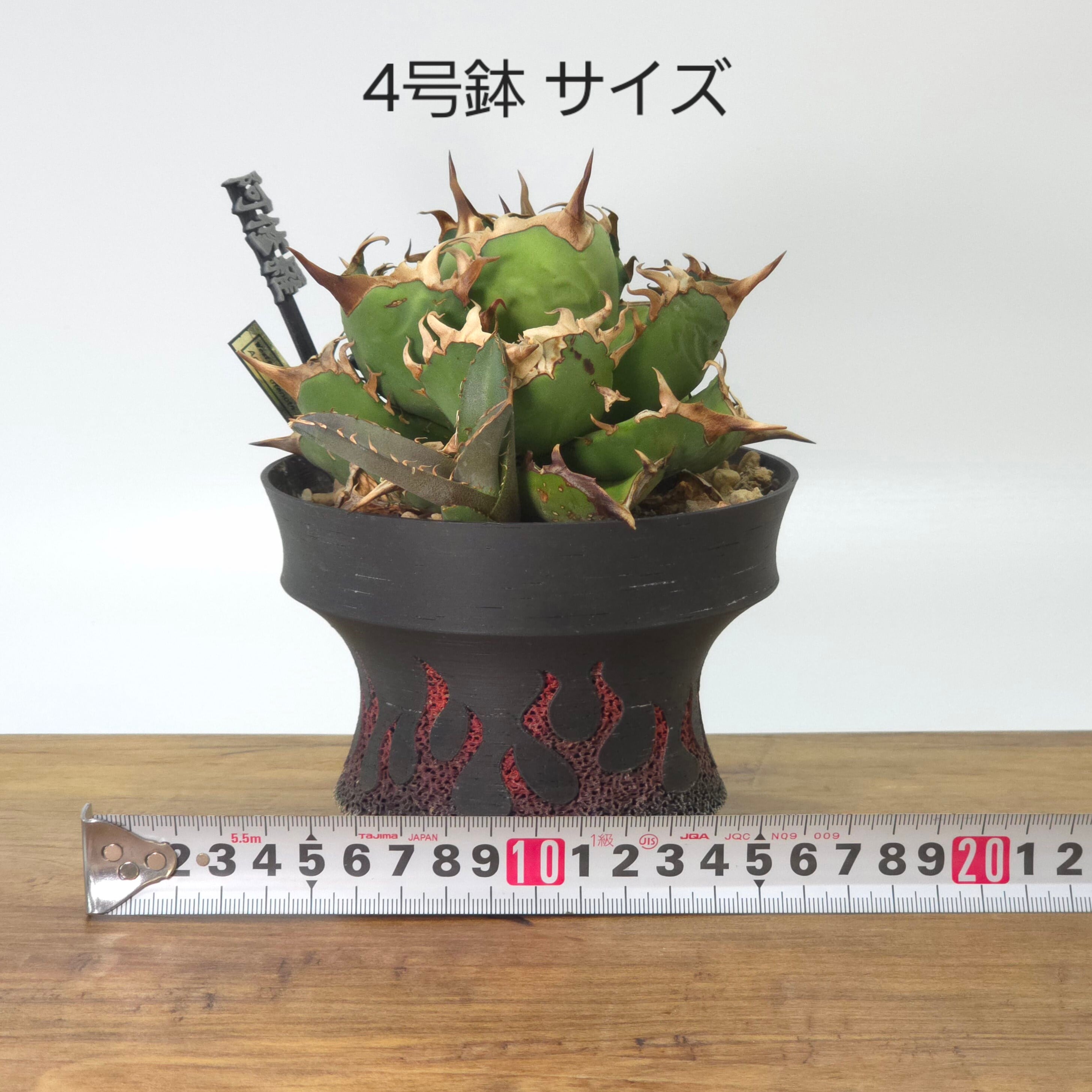 アガベ・塊根植物向け】Flame5号｜3Dプリント製デザイン植木鉢｜軽量