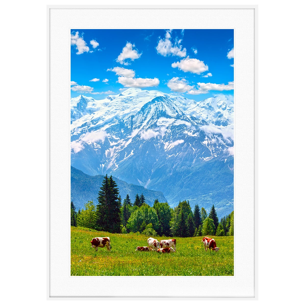 フランス写真 シャモニー近郊モンブラン山麓 インテリアアートポスター