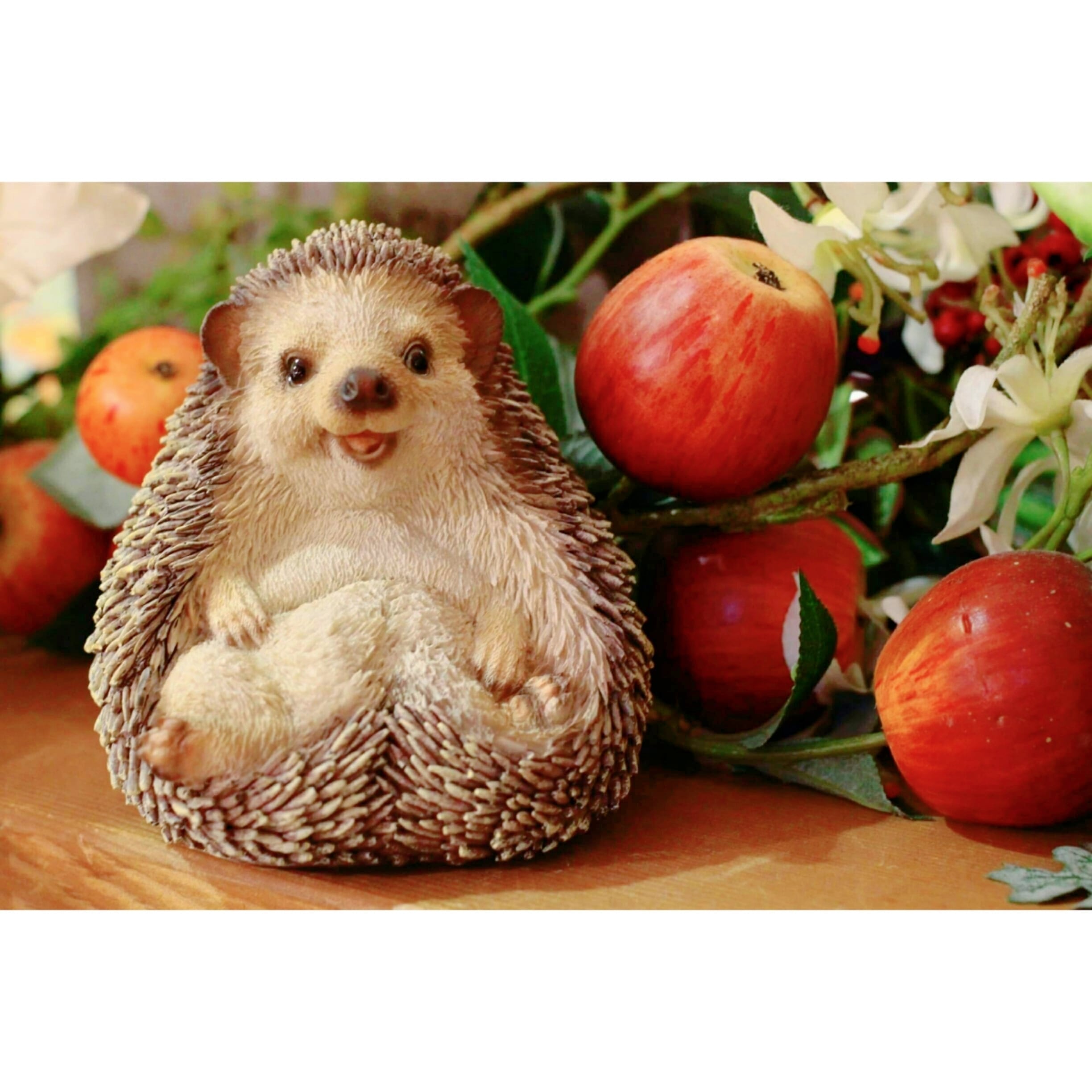 7b12ee88baf869ef8de1a33ad6ccfa