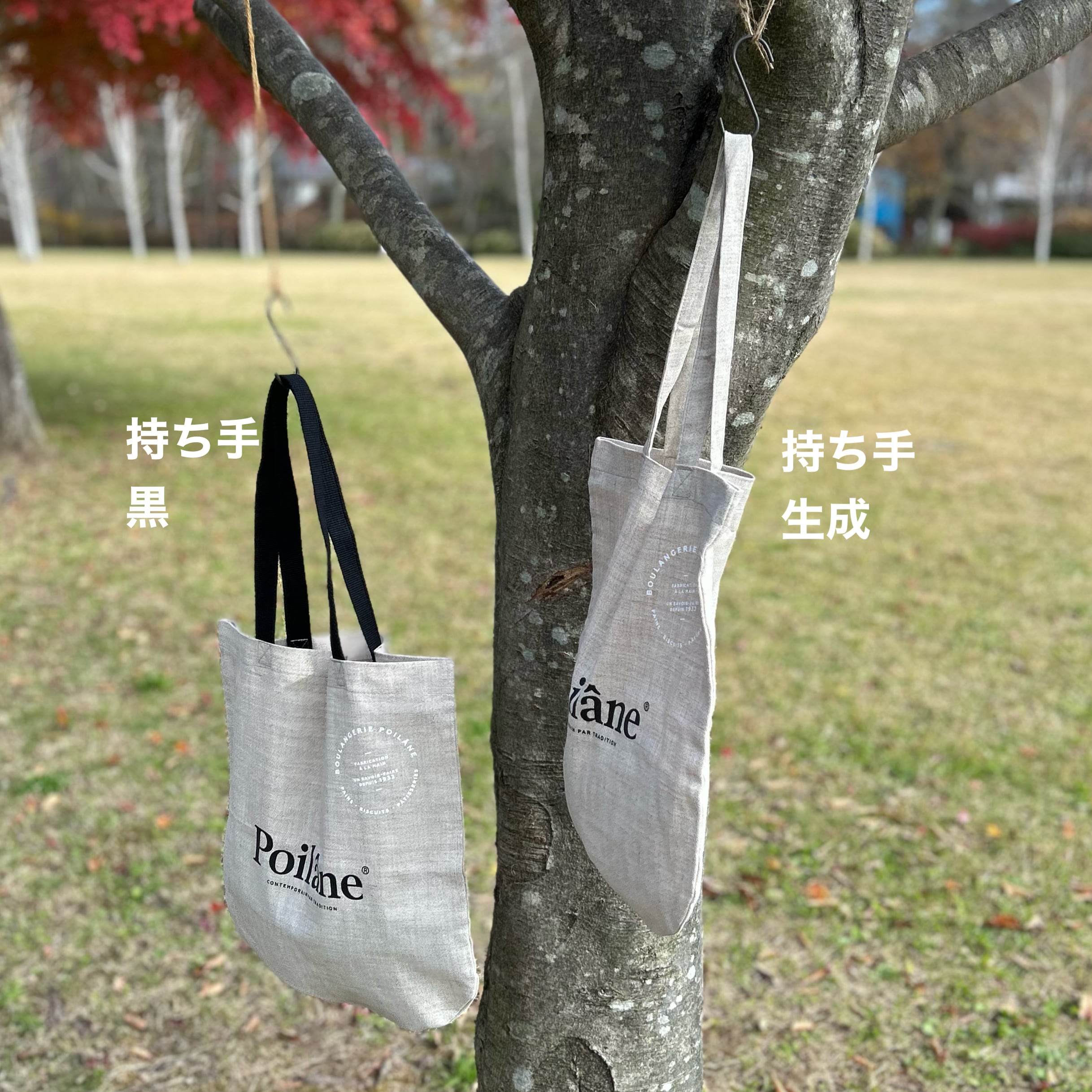 7c4dff445e4fc9718c265d883896f8