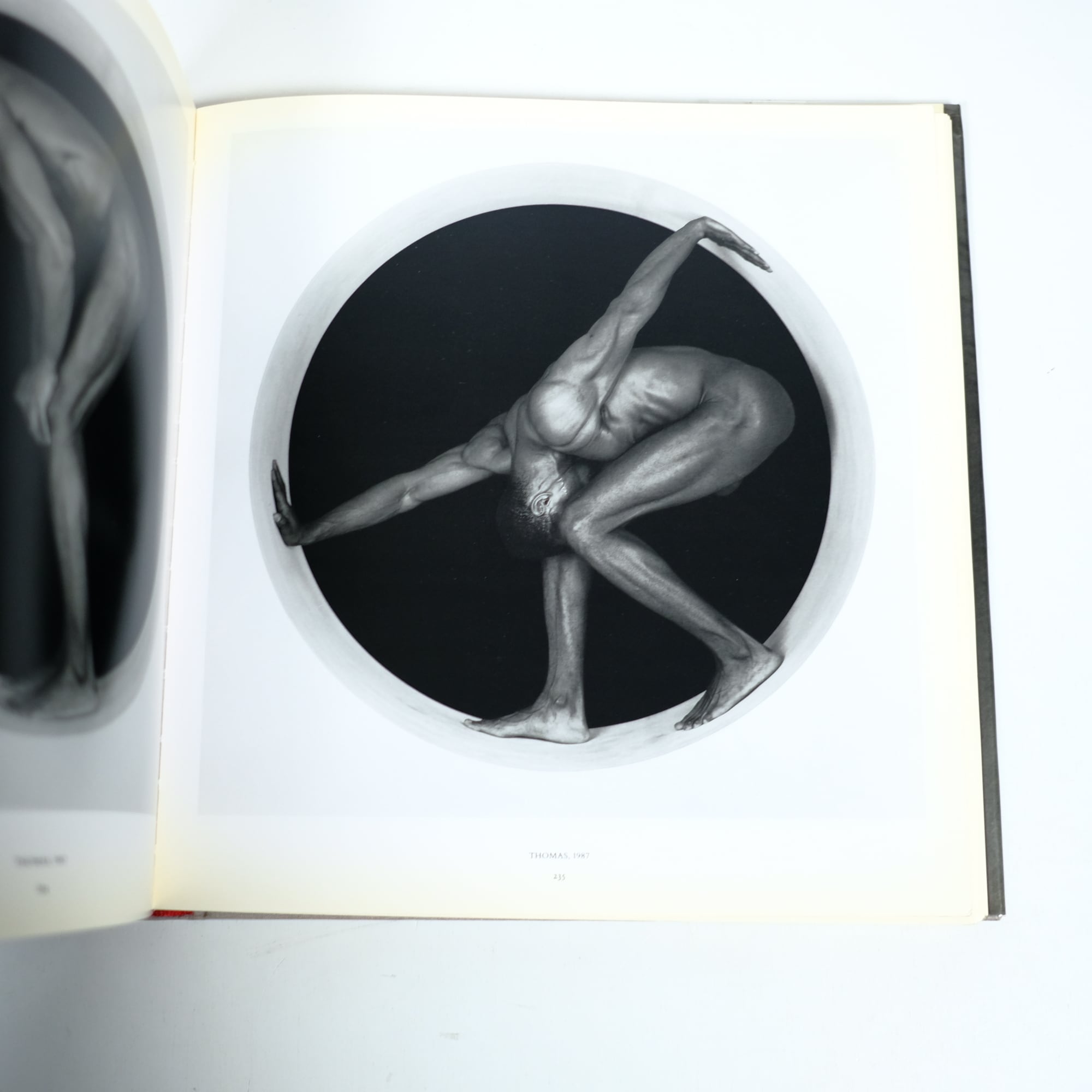 ROBERT MAPPLETHORPE 洋書 写真集 RANDOM HOUSE | Pay ID