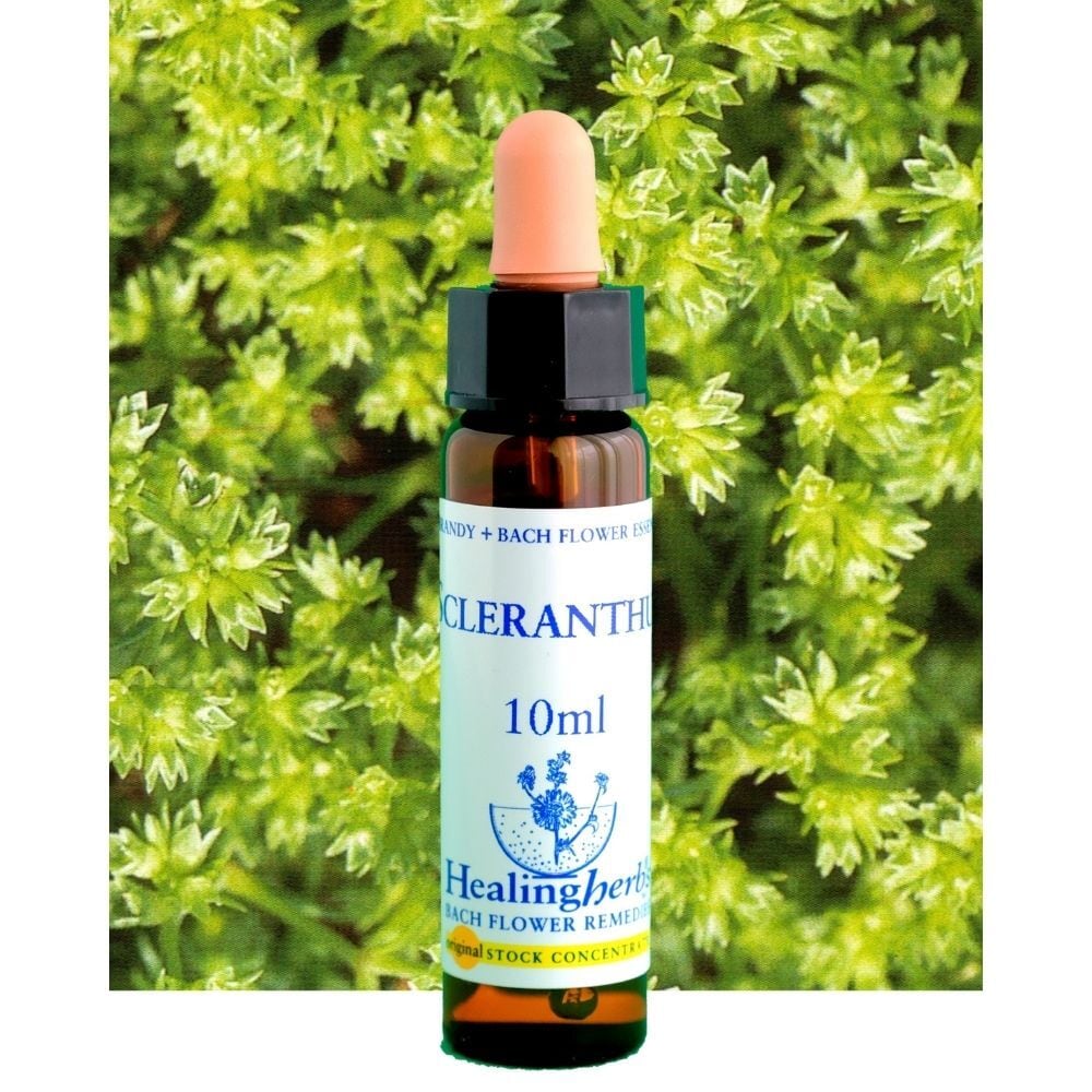 JK□フラワーレメディ10ミリを6本ヒーリングハーブス社