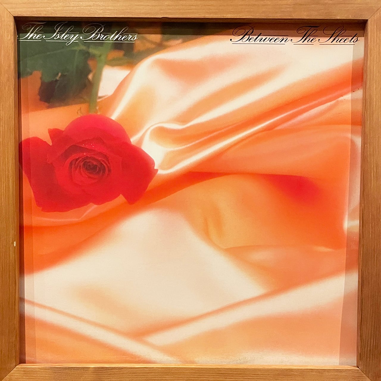 7ecd9956b2394fa34b41648d7e9e31