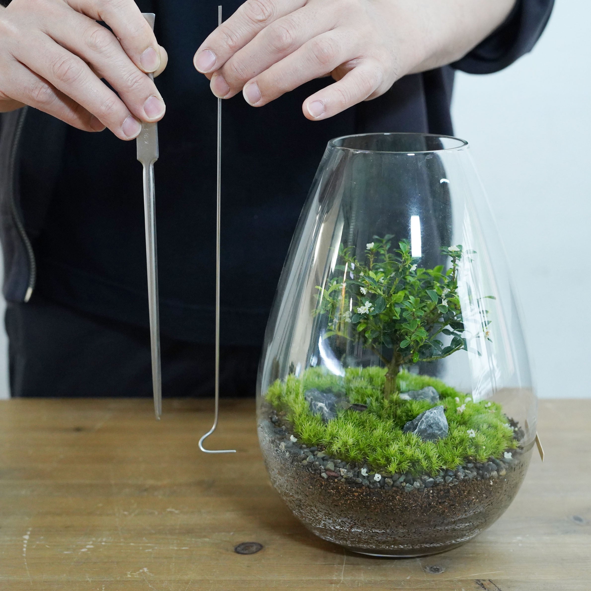 苔テラリウム作製用ツール】ロング押さえ棒◇深い容器の植付けに | 苔