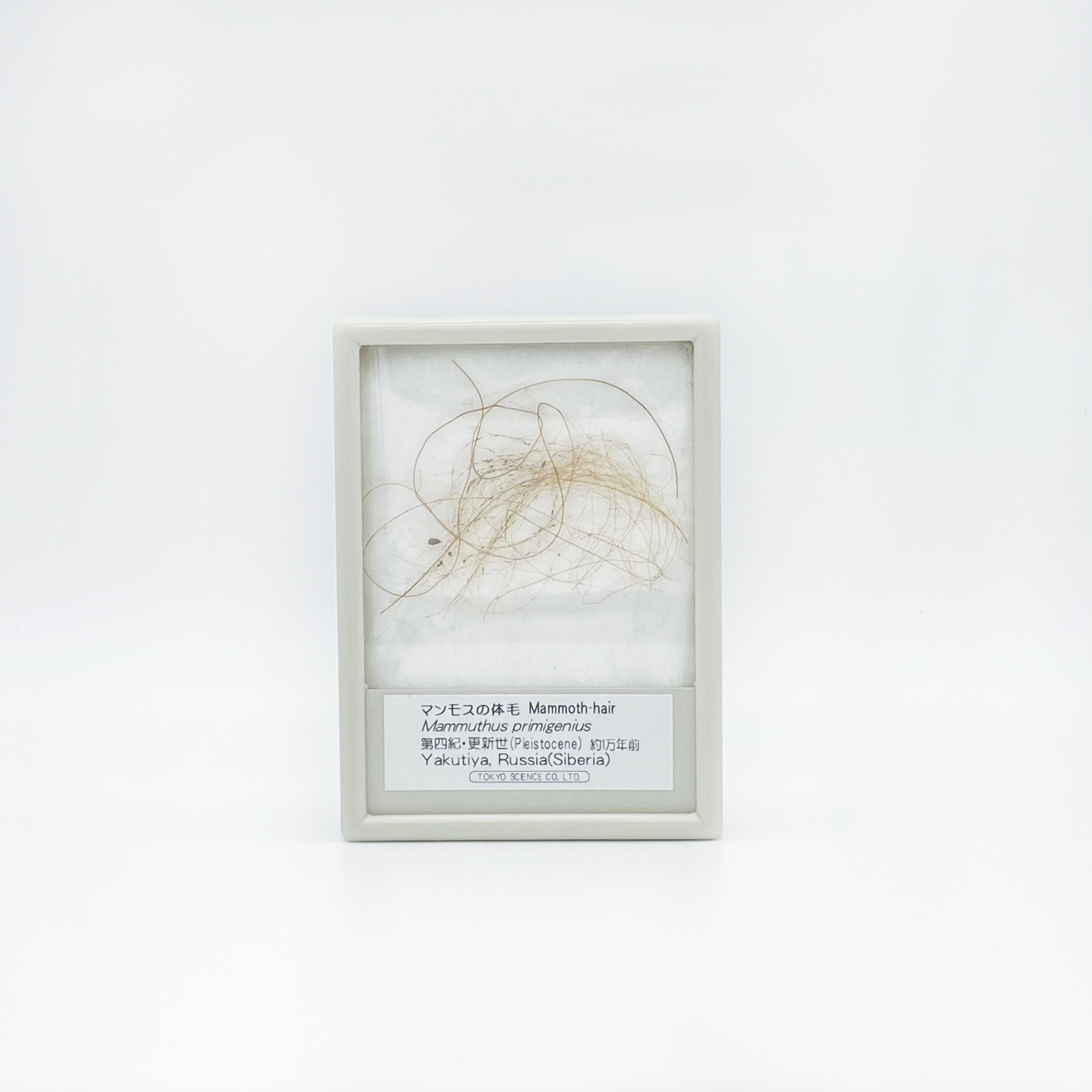 7ffd4592e22bc2e58db65d40d214ff