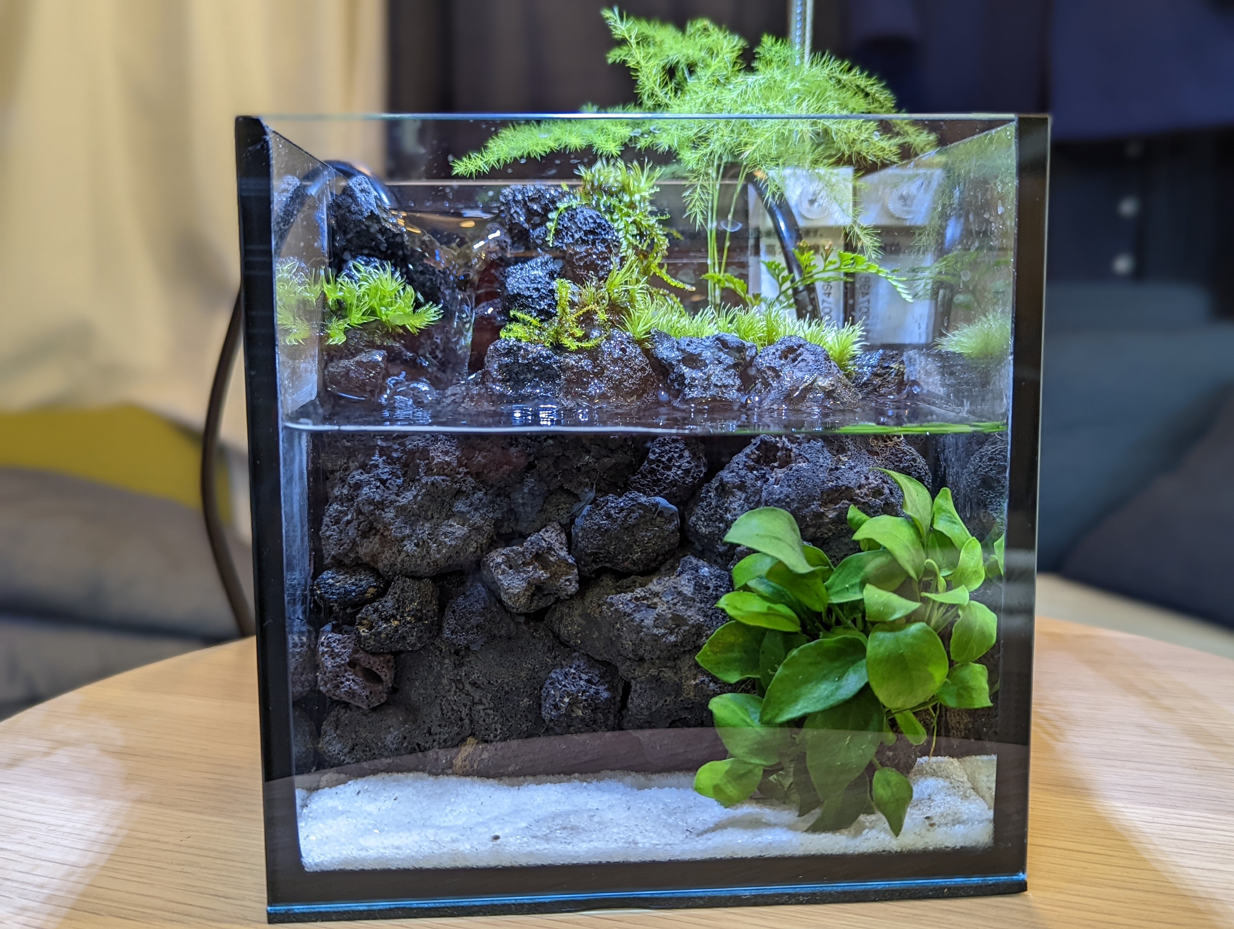 ミニ水槽「滝が流れ落ちるアクアテラリウム」 | minirium garden