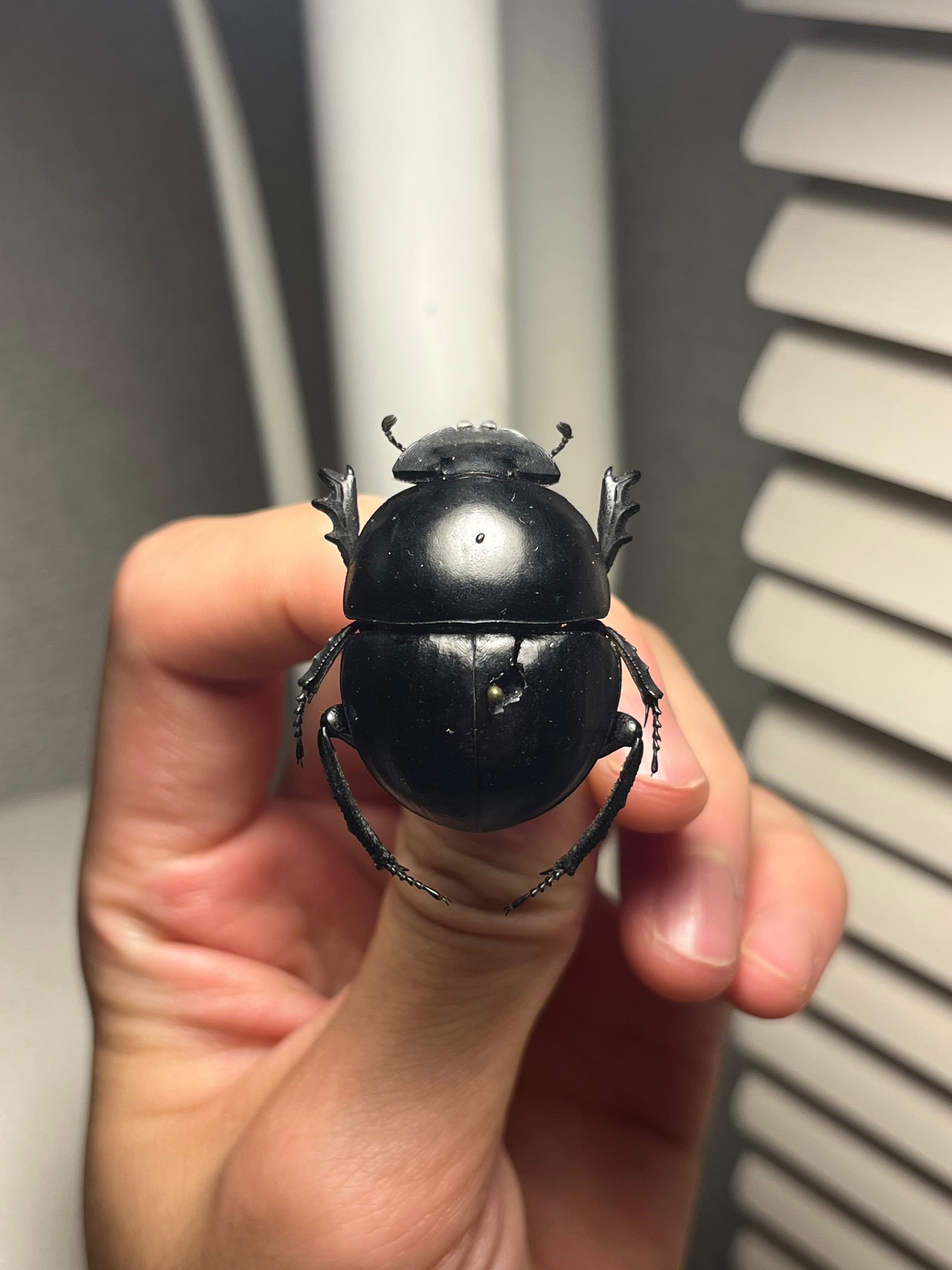 82efeff5c844583ccb38cbfa71e25f