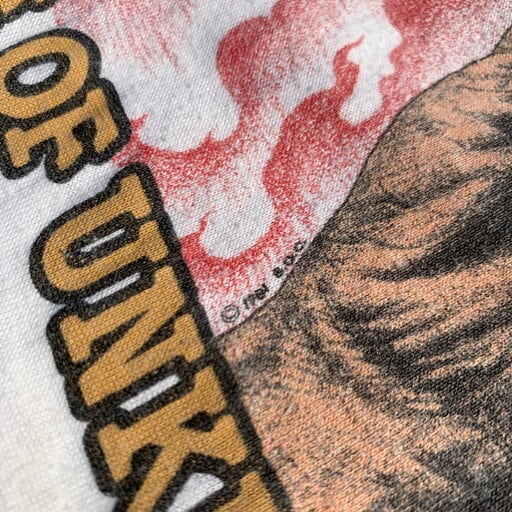 80's BLUE OYSTER CULT ブルーオイスターカルト ツアーTシャツ 7分袖