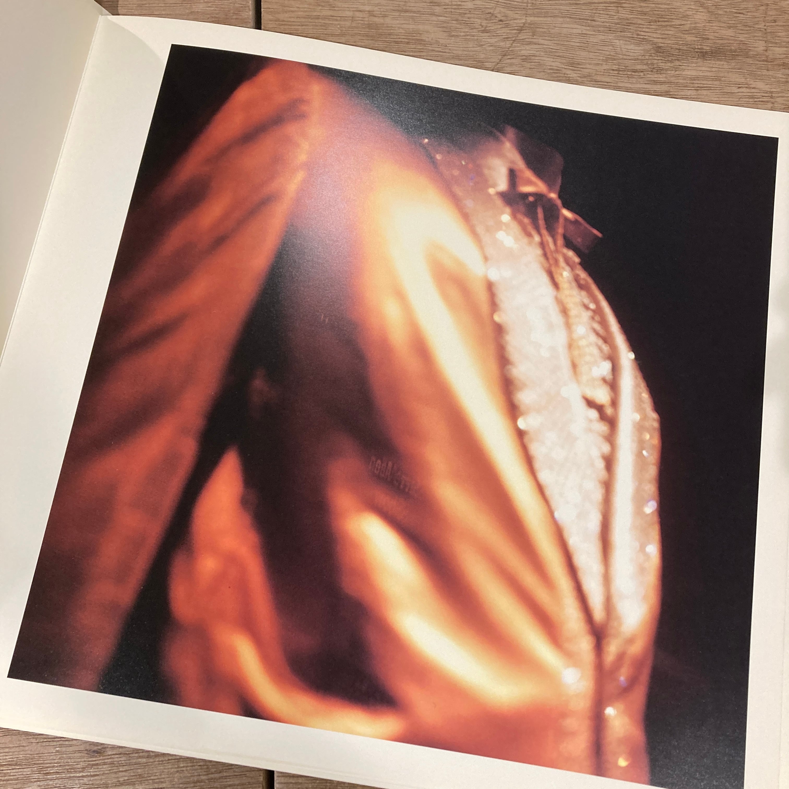 アート・デザイン・音楽 Pretty Lies 1997 / jack pierson Jack