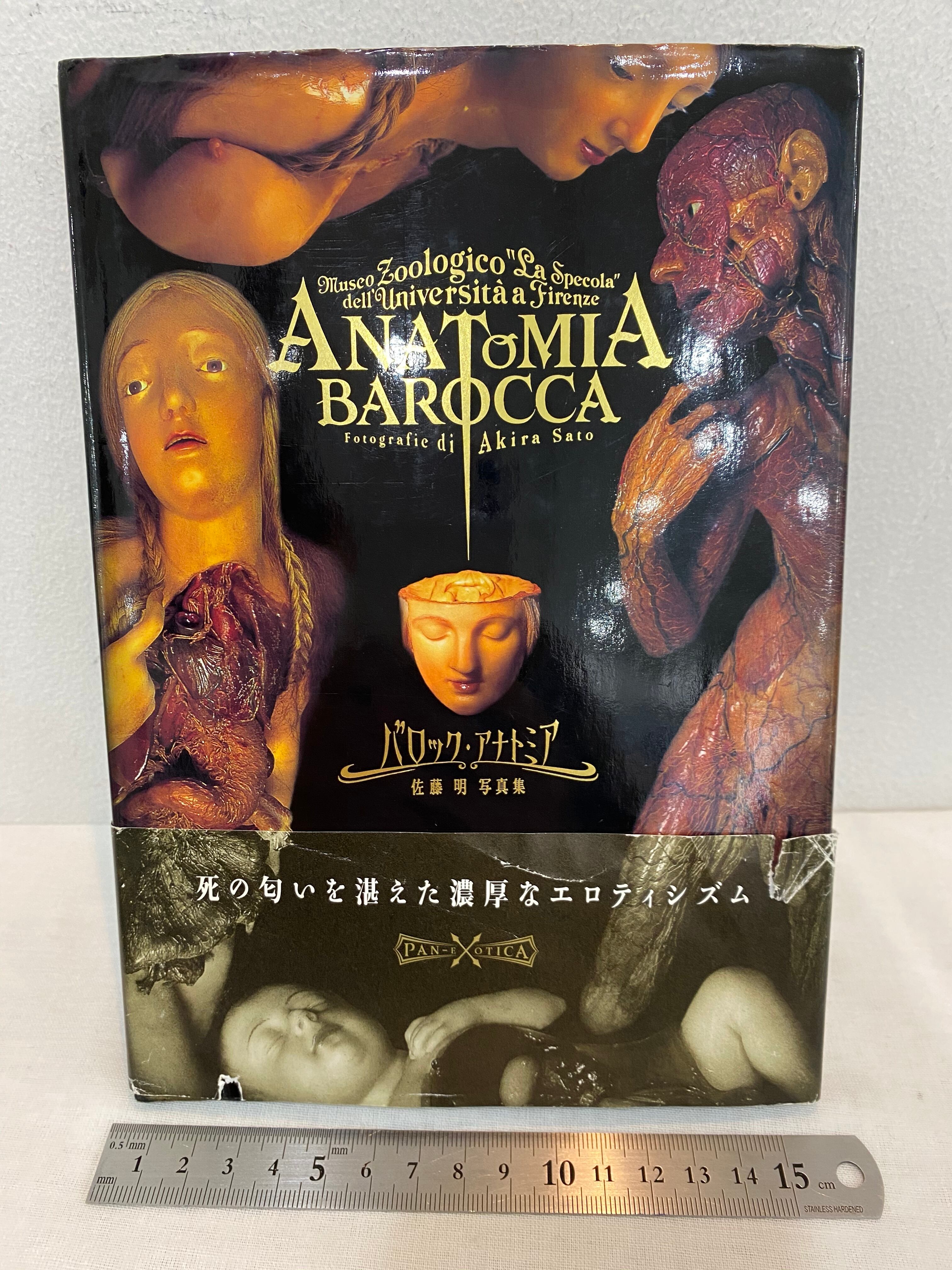 解剖学蝋人形 バロック・アナトミア ANATOMIA BAROCCA | Pay ID