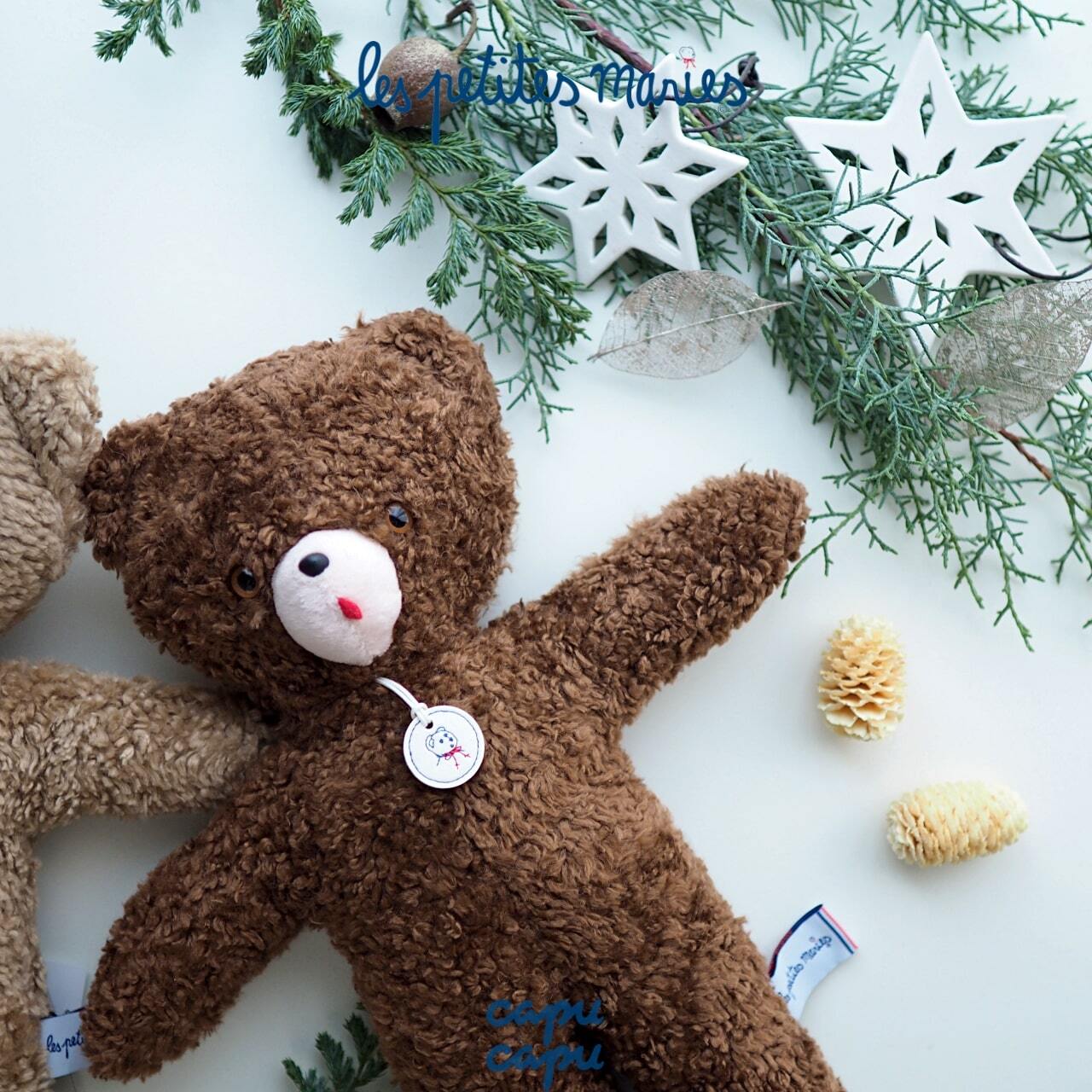 Les Petites Maries TOINOU VINTAGE LIMITED EDITION レ・プティット