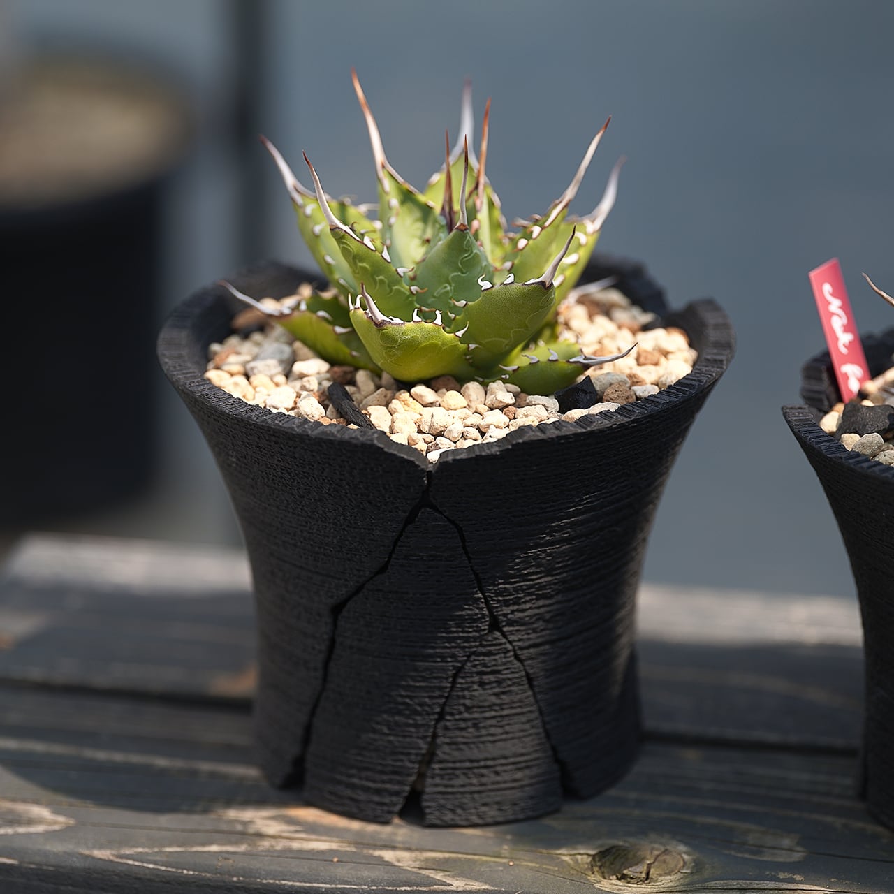 84b5b90f840b9d5b8d103c16874572