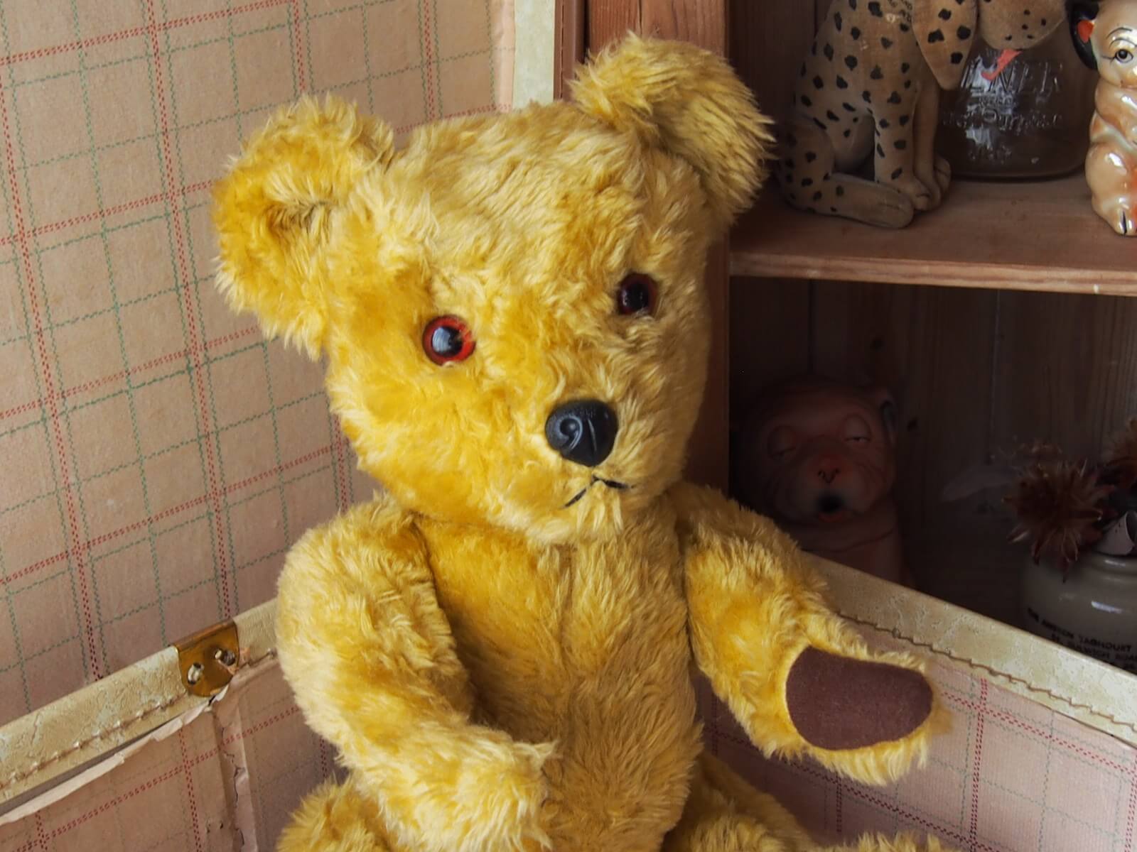 856269af681a30d99717a9c3ecf916