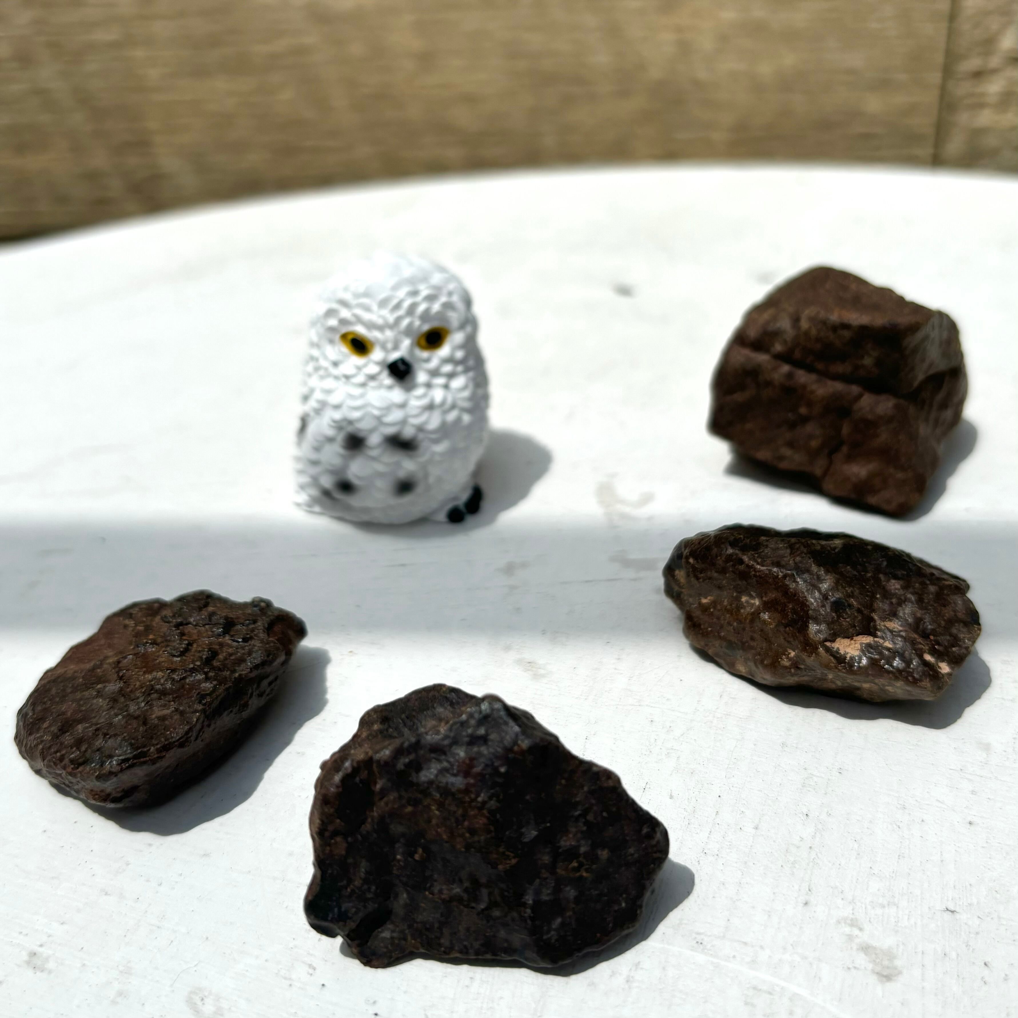 コンドライト隕石L5-6 鑑別書付き モロッコ産 コンドライト隕石L5-6