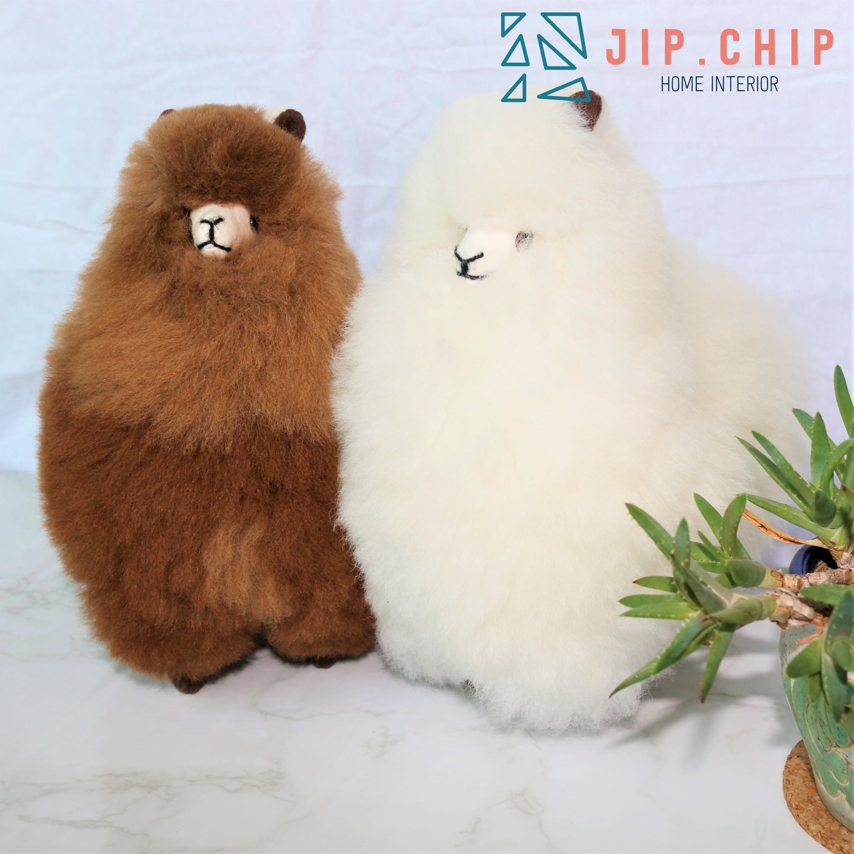 アルパカぬいぐるみ ‐M‐ | jipchip