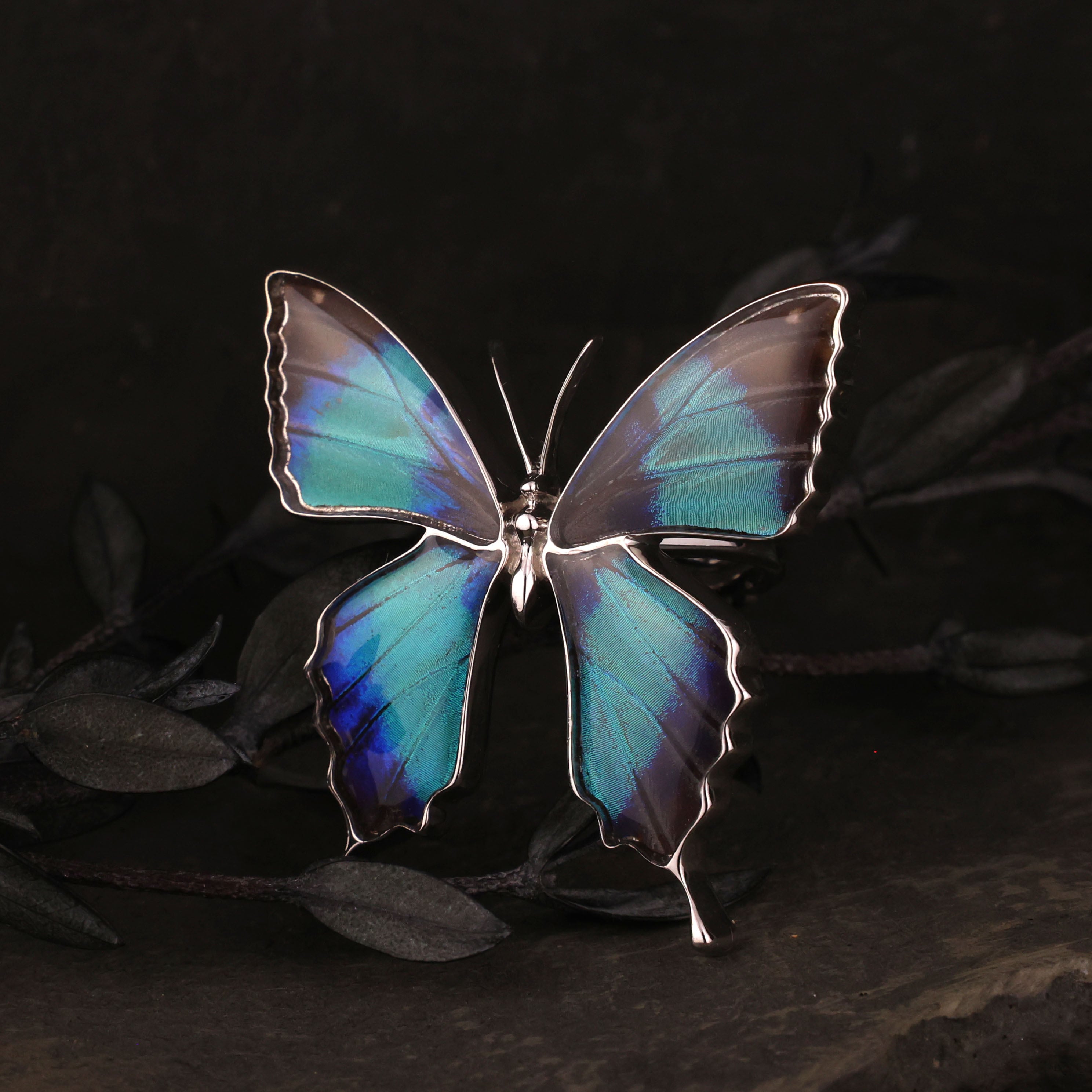 Psyche/現品] [zps002r-gr][ドクソコパチェルビナ] 本物の蝶の翅