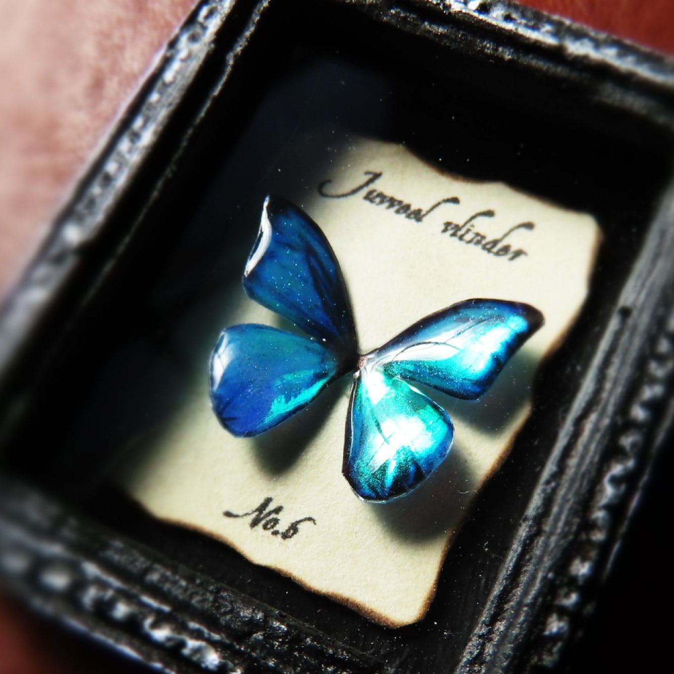 86bbf420a147d9c8cfefdb4d71e7f9